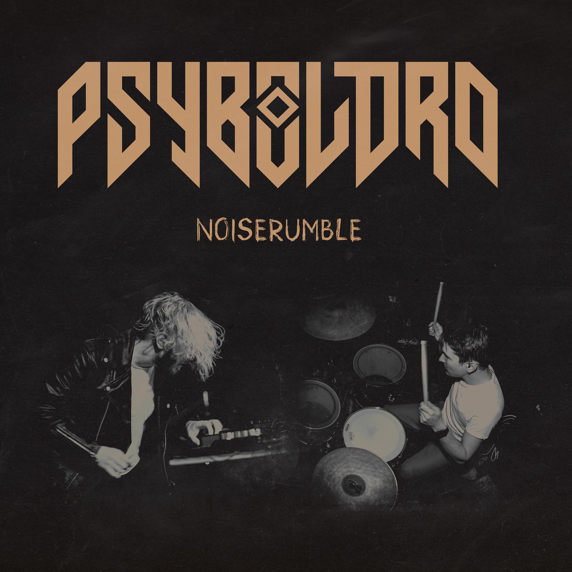 Постер альбома Noiserumble