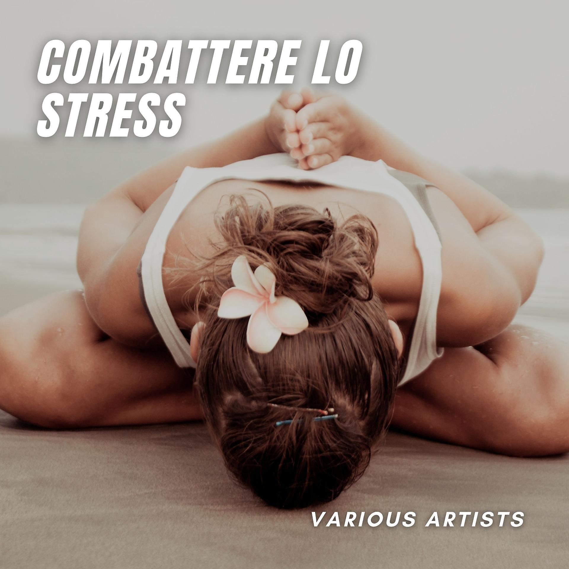 Постер альбома Combattere lo stress