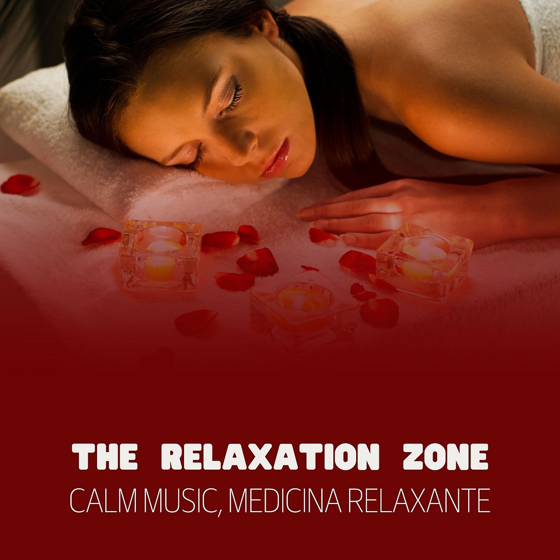 Постер альбома The Relaxation Zone