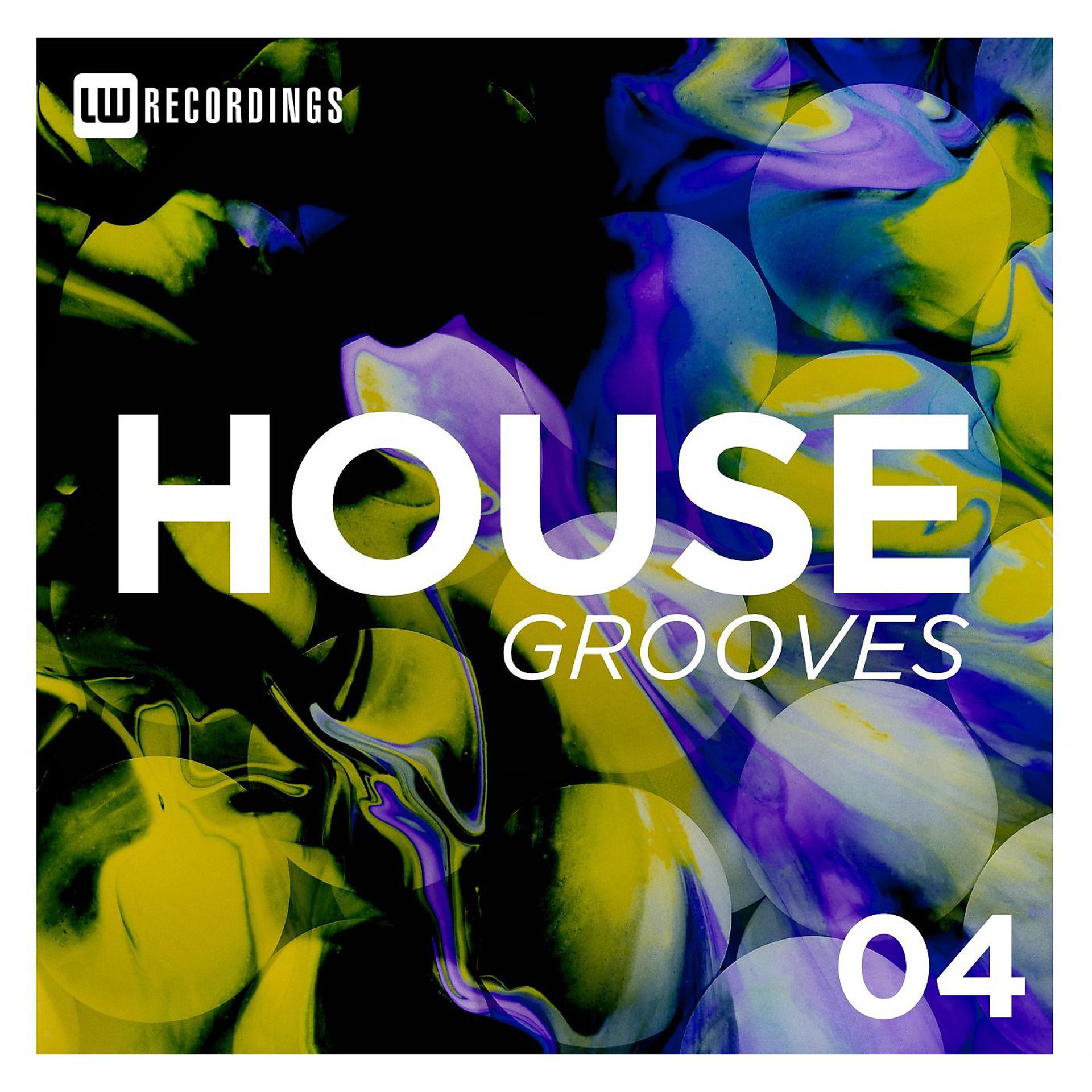 Постер альбома House Grooves, Vol. 04