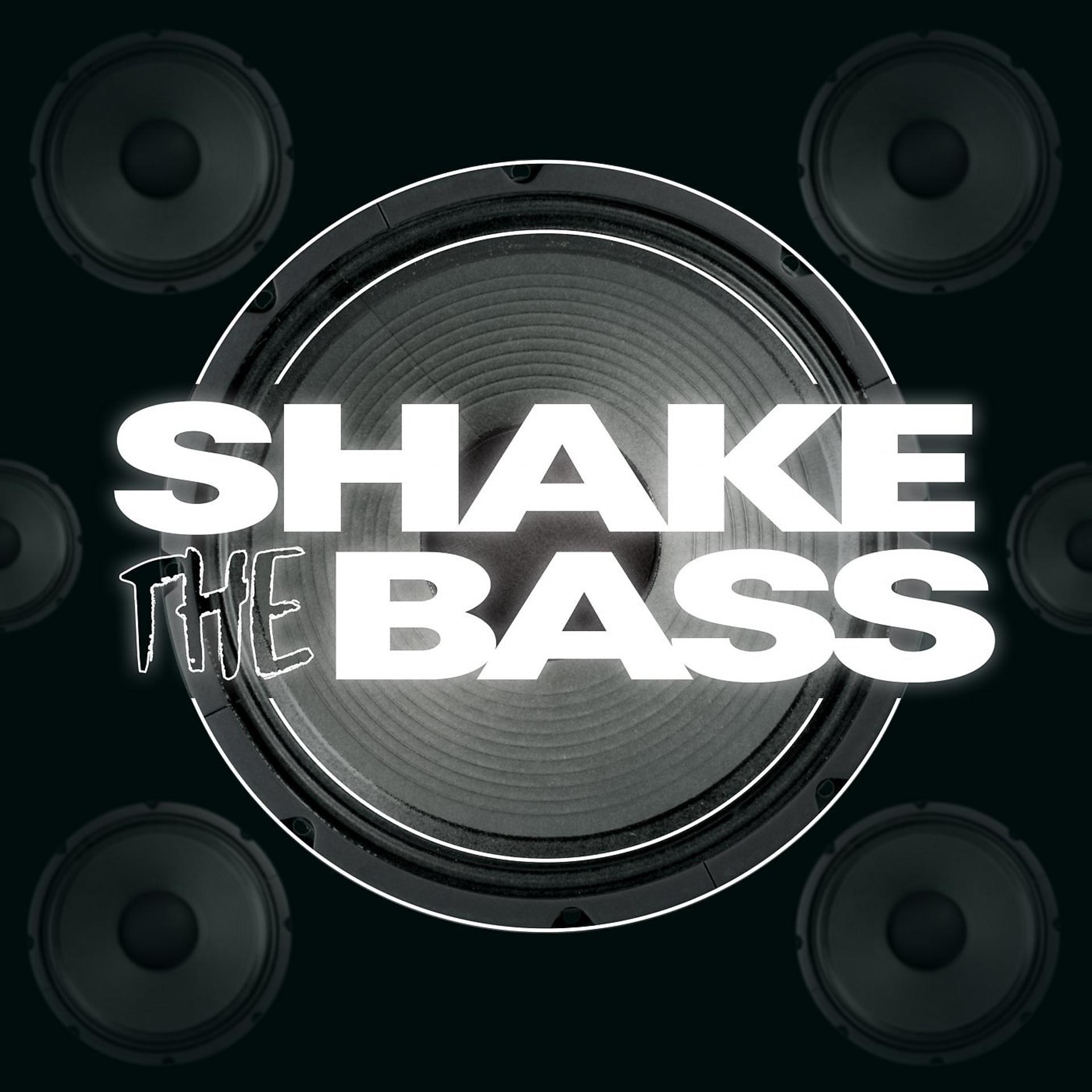 Постер альбома Shake The Bass