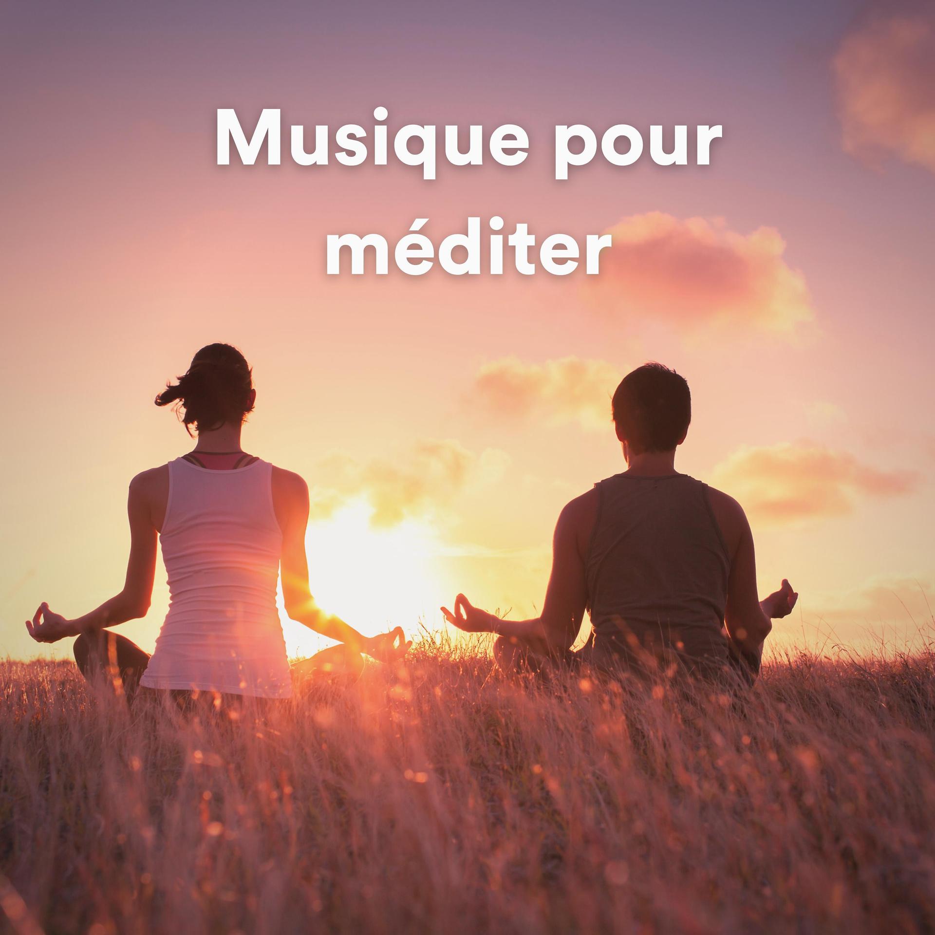 Постер альбома Musique Pour Mediter