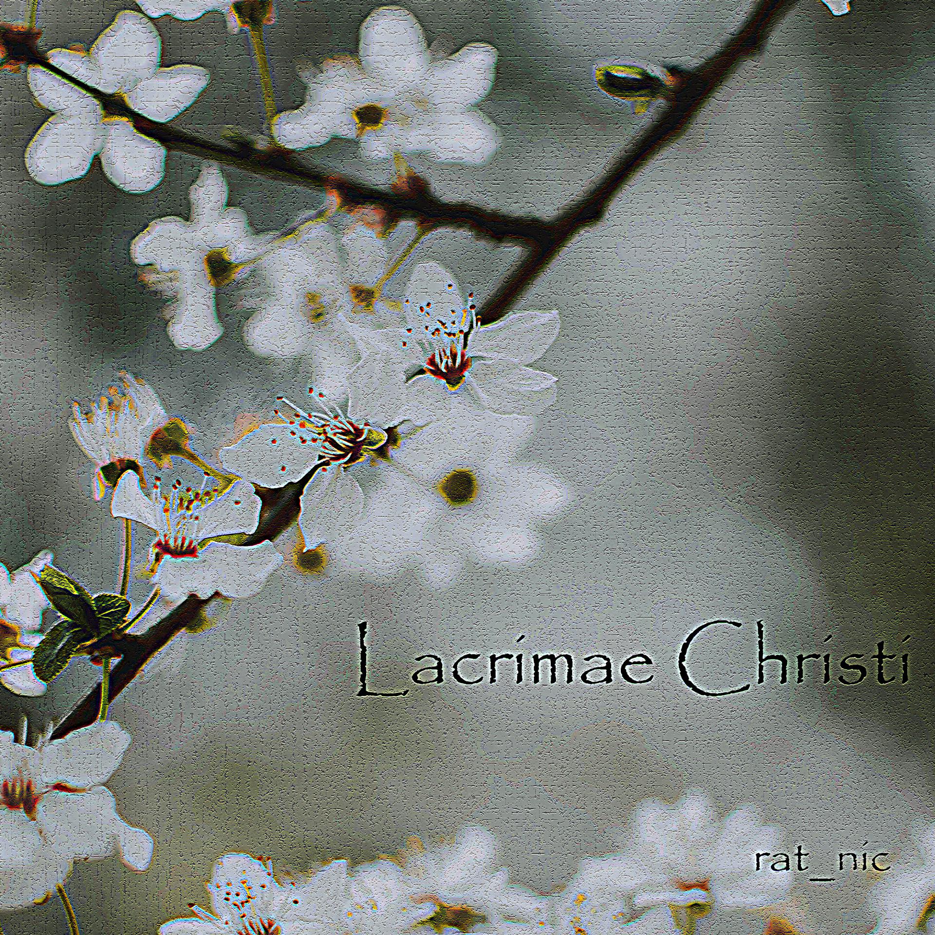 Постер альбома Lacrimae Christi