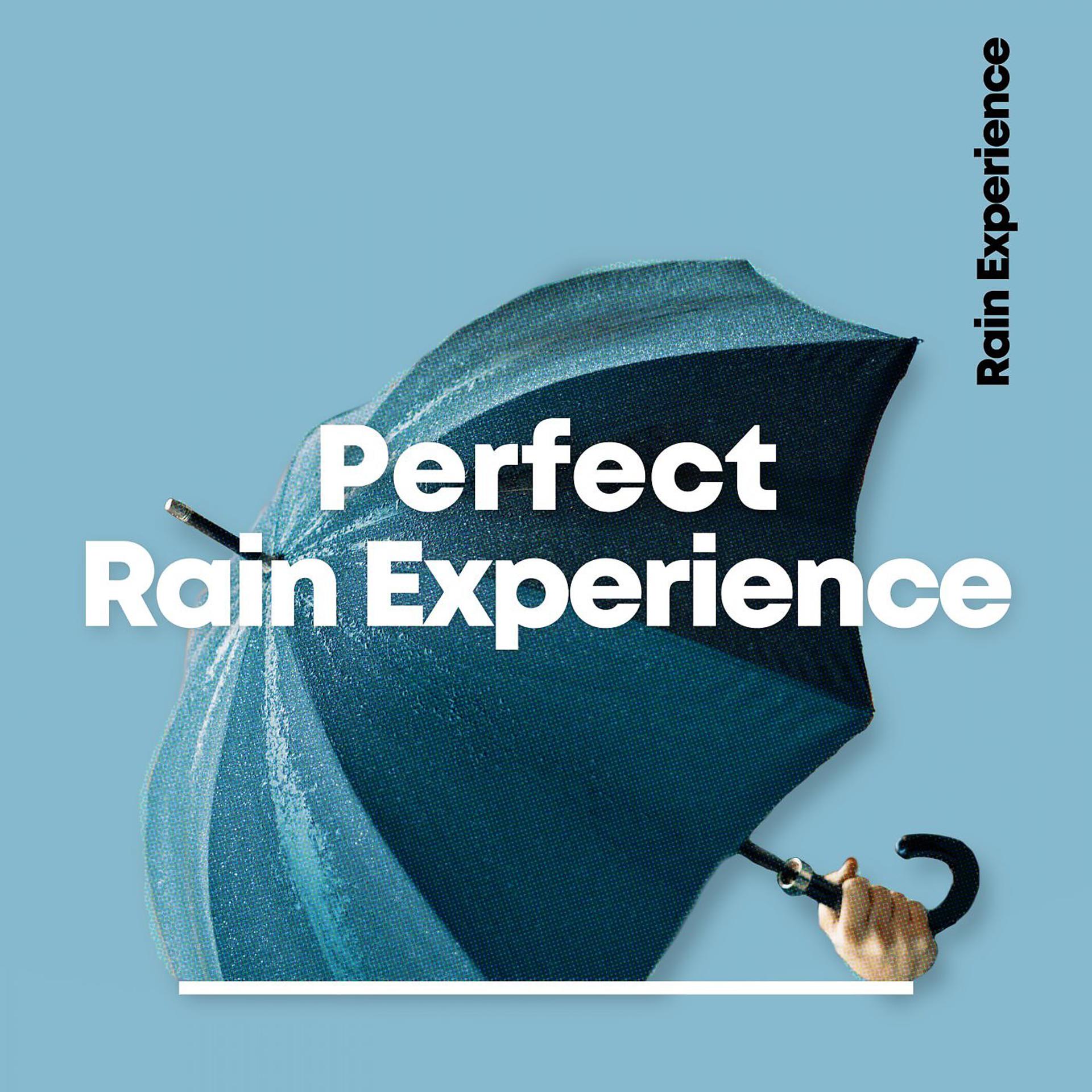 Постер альбома Perfect Rain Experience