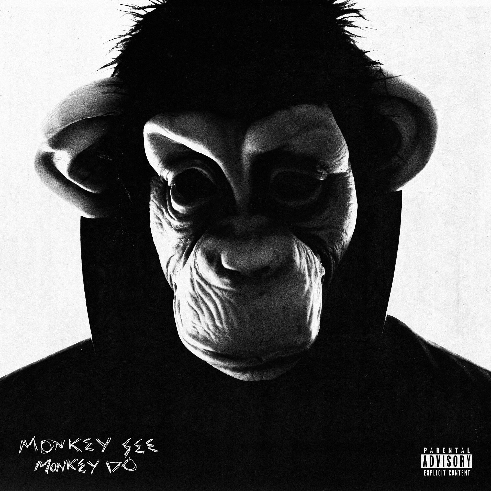 Постер альбома Monkey See Monkey Do