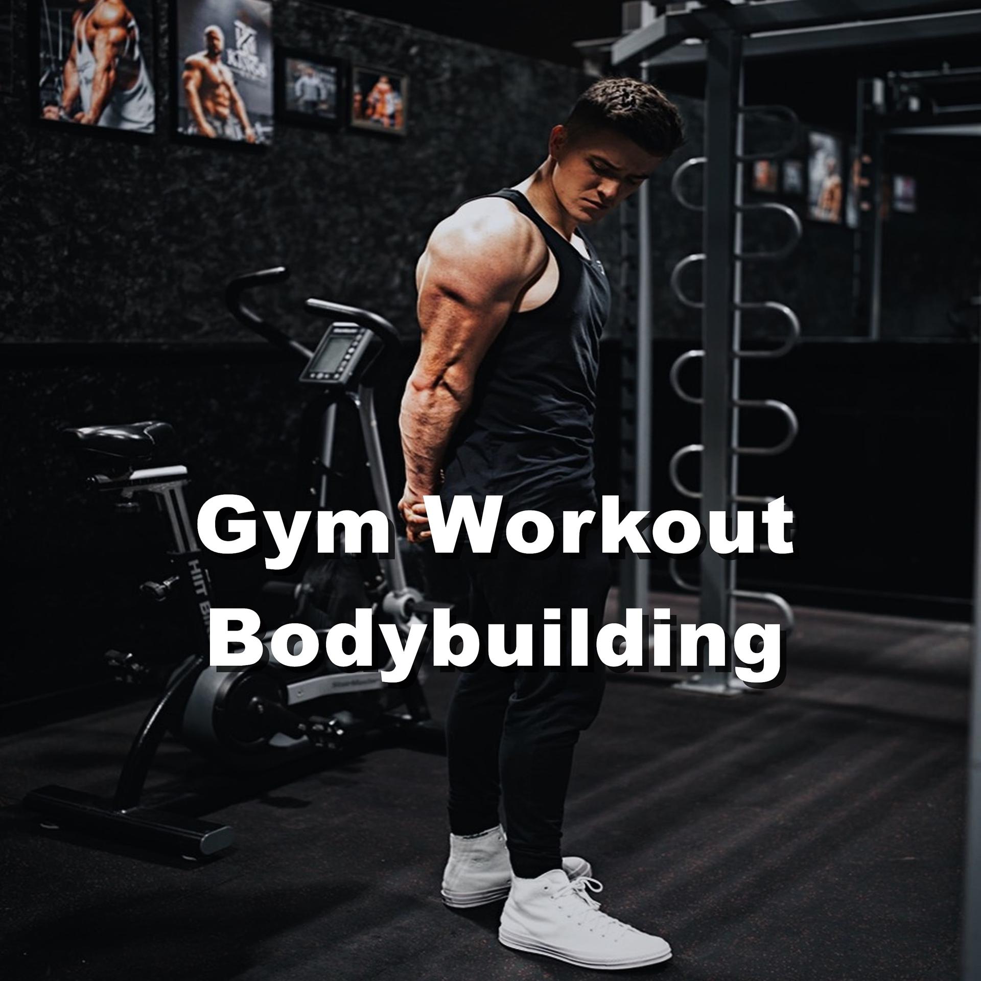 Постер альбома Gym Workout Bodybuilding