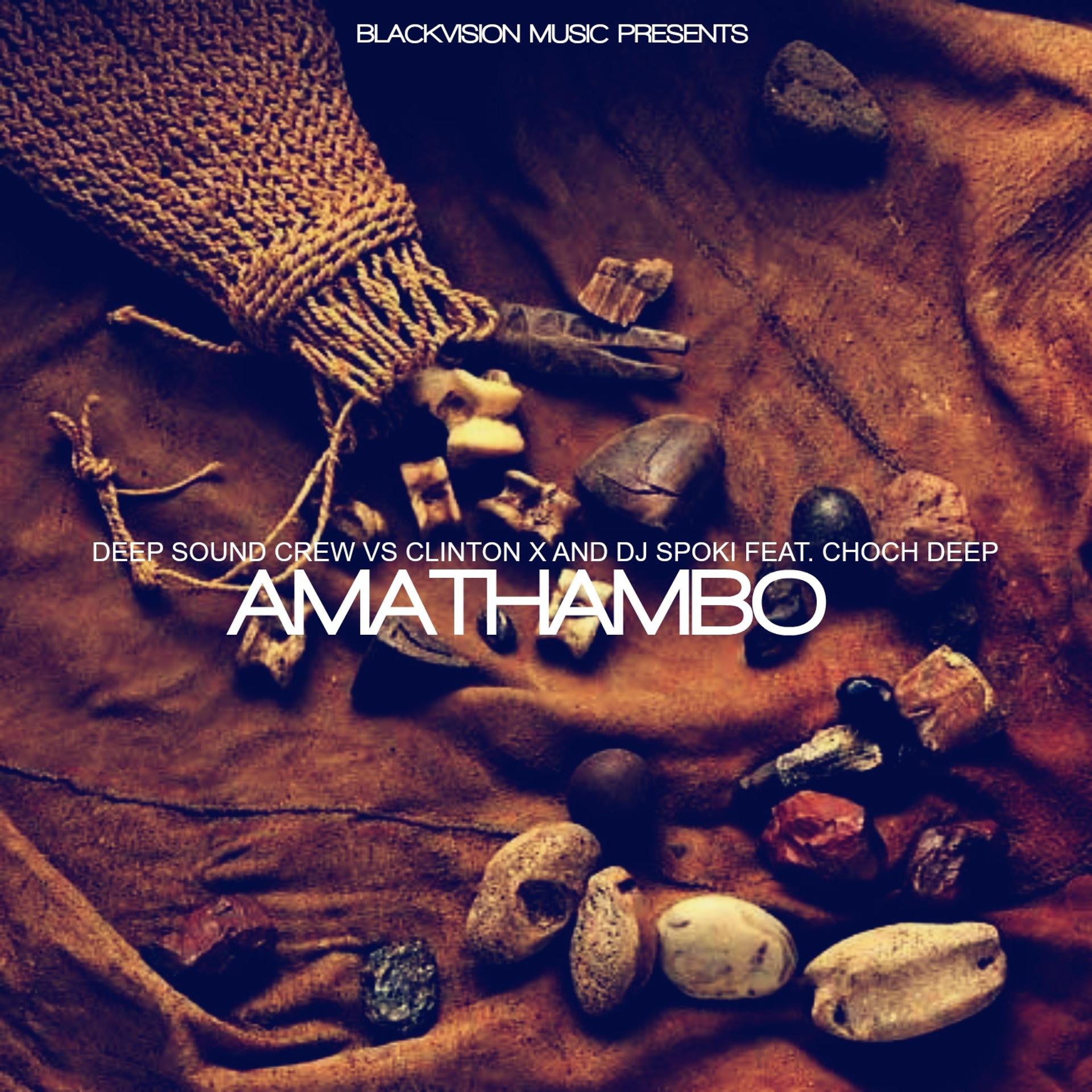 Постер альбома Amathambo