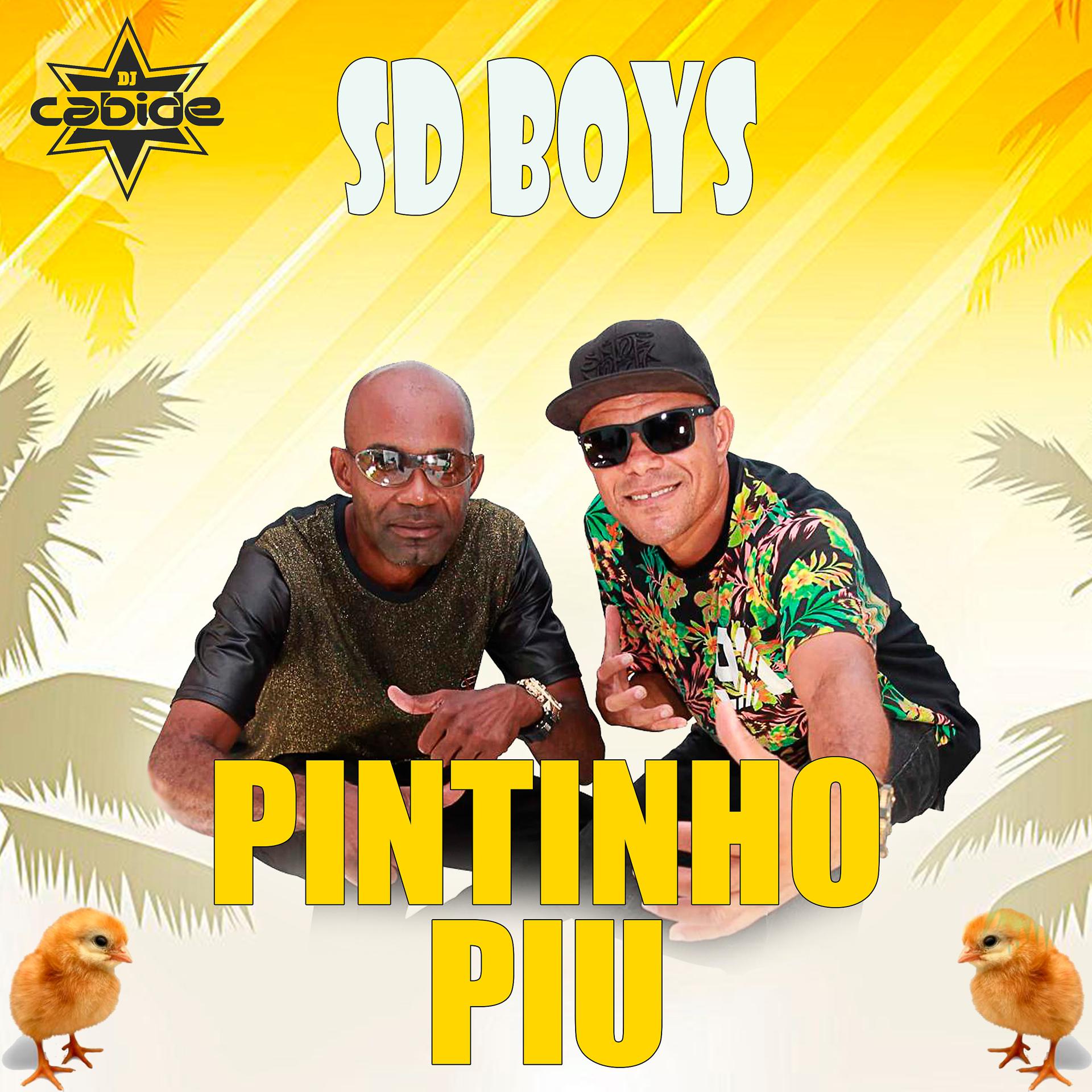 Постер альбома Pintinho Piu