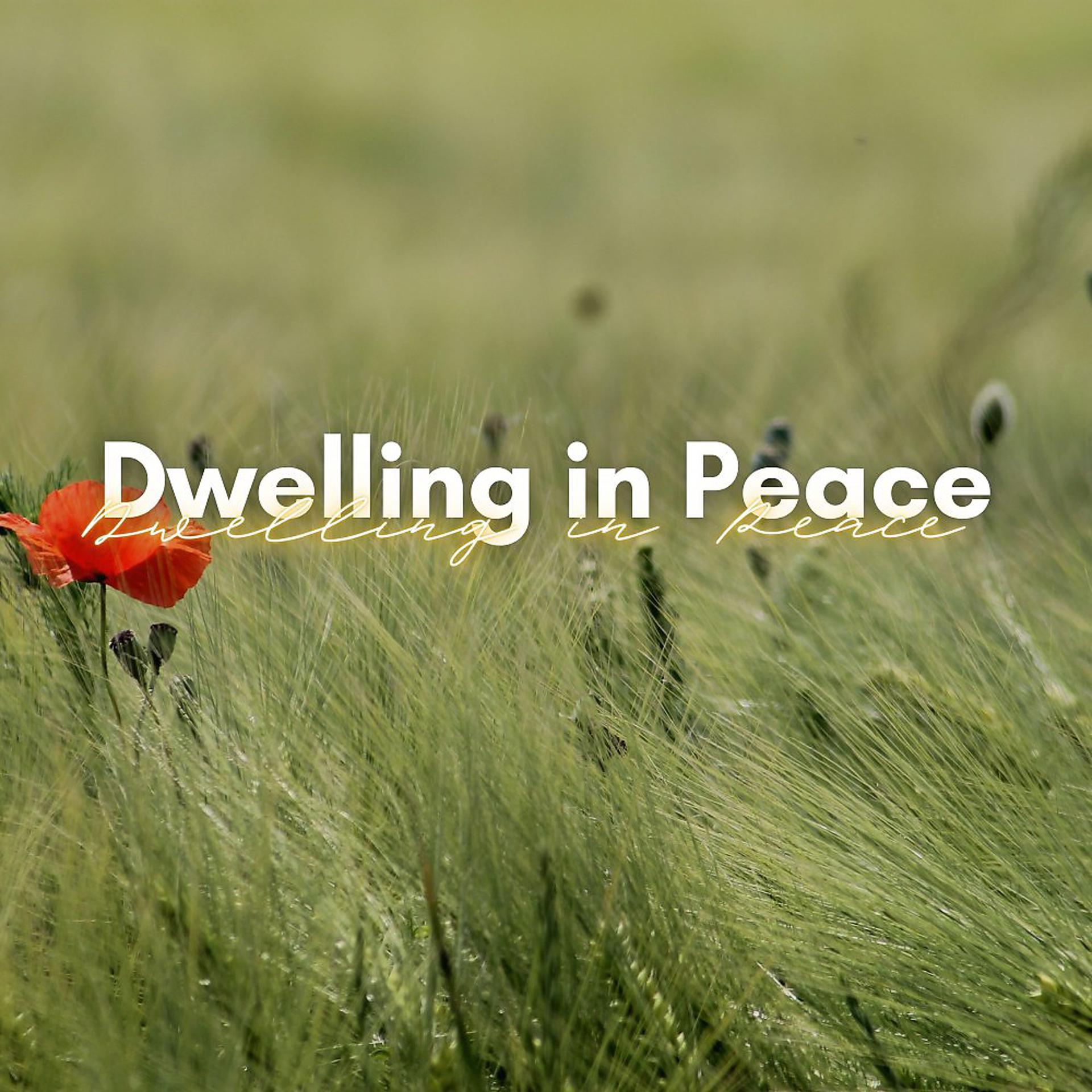 Постер альбома Dwelling in Peace