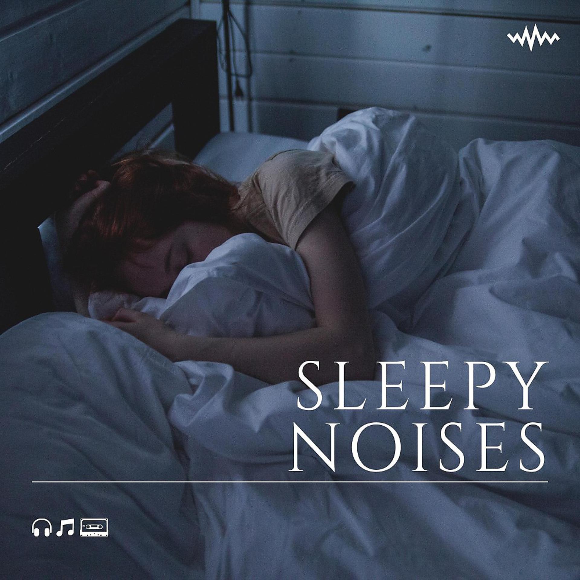 Постер альбома Sleepy Noises