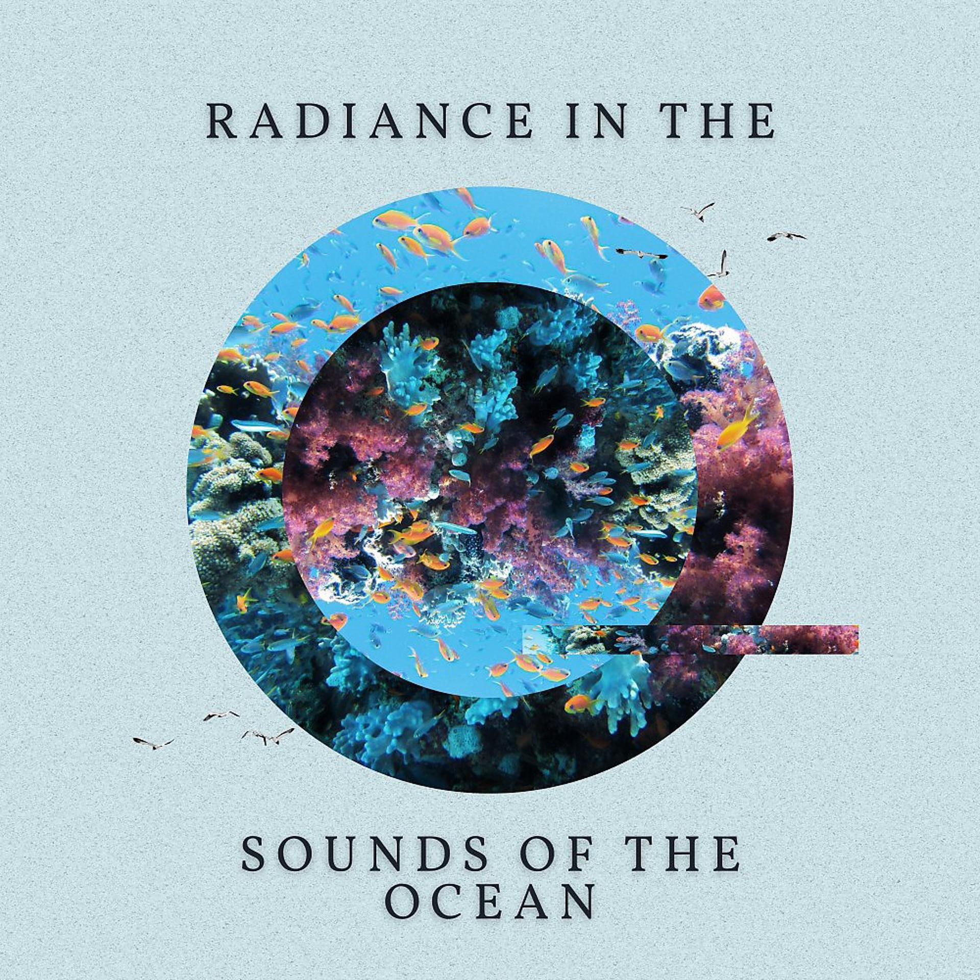 Постер альбома Radiance in the Sounds of the Ocean