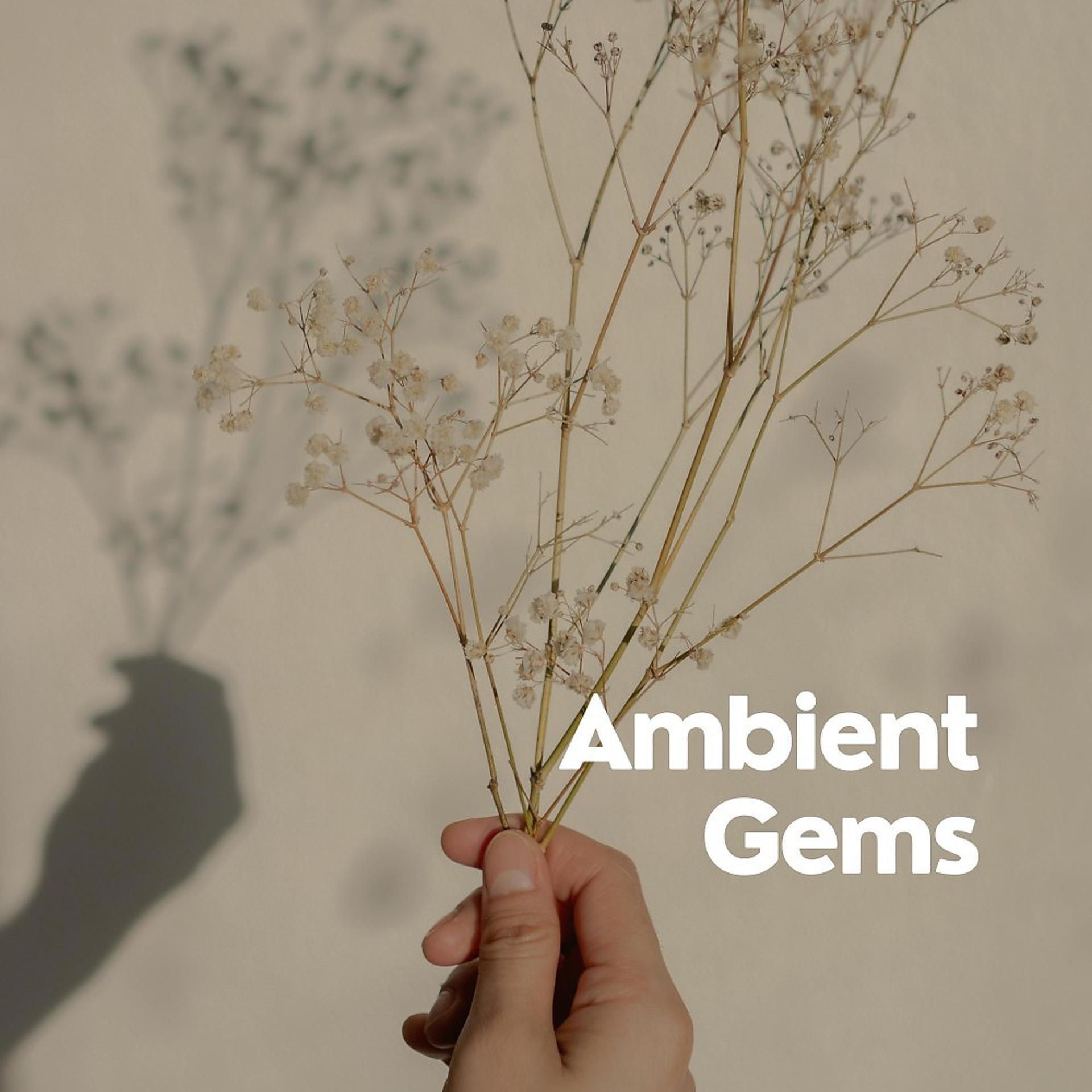 Постер альбома Ambient Gems