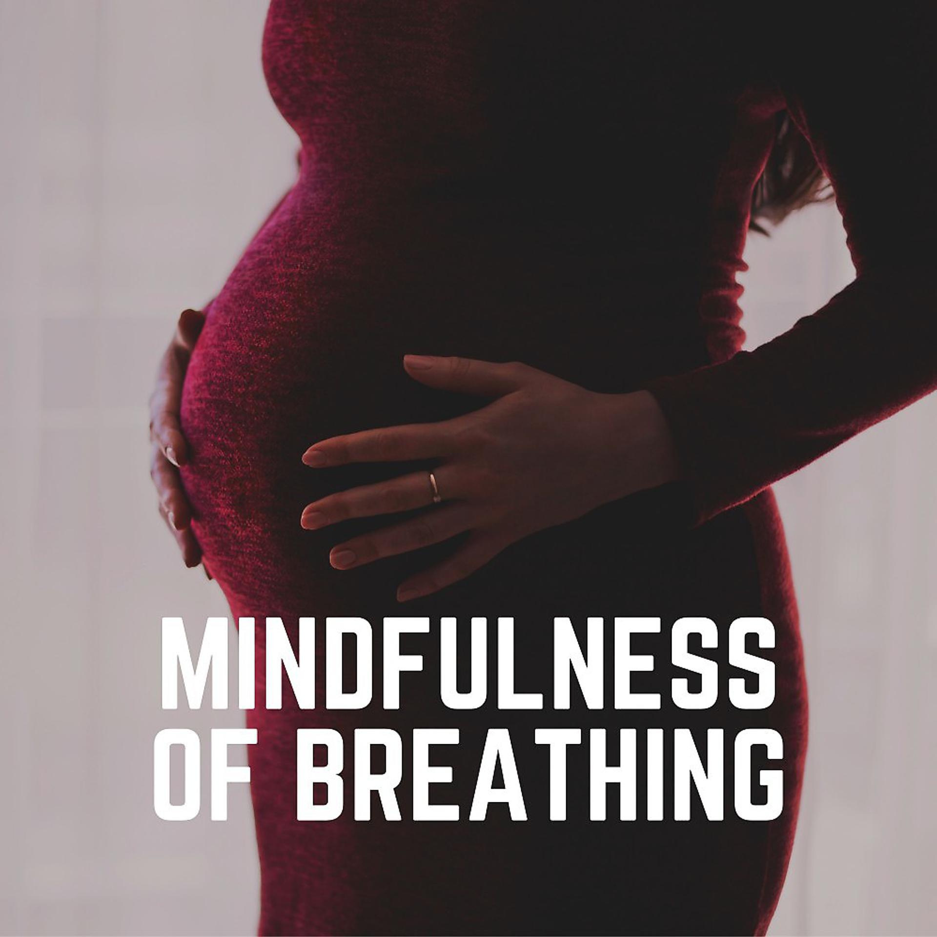 Постер альбома Mindfulness of Breathing