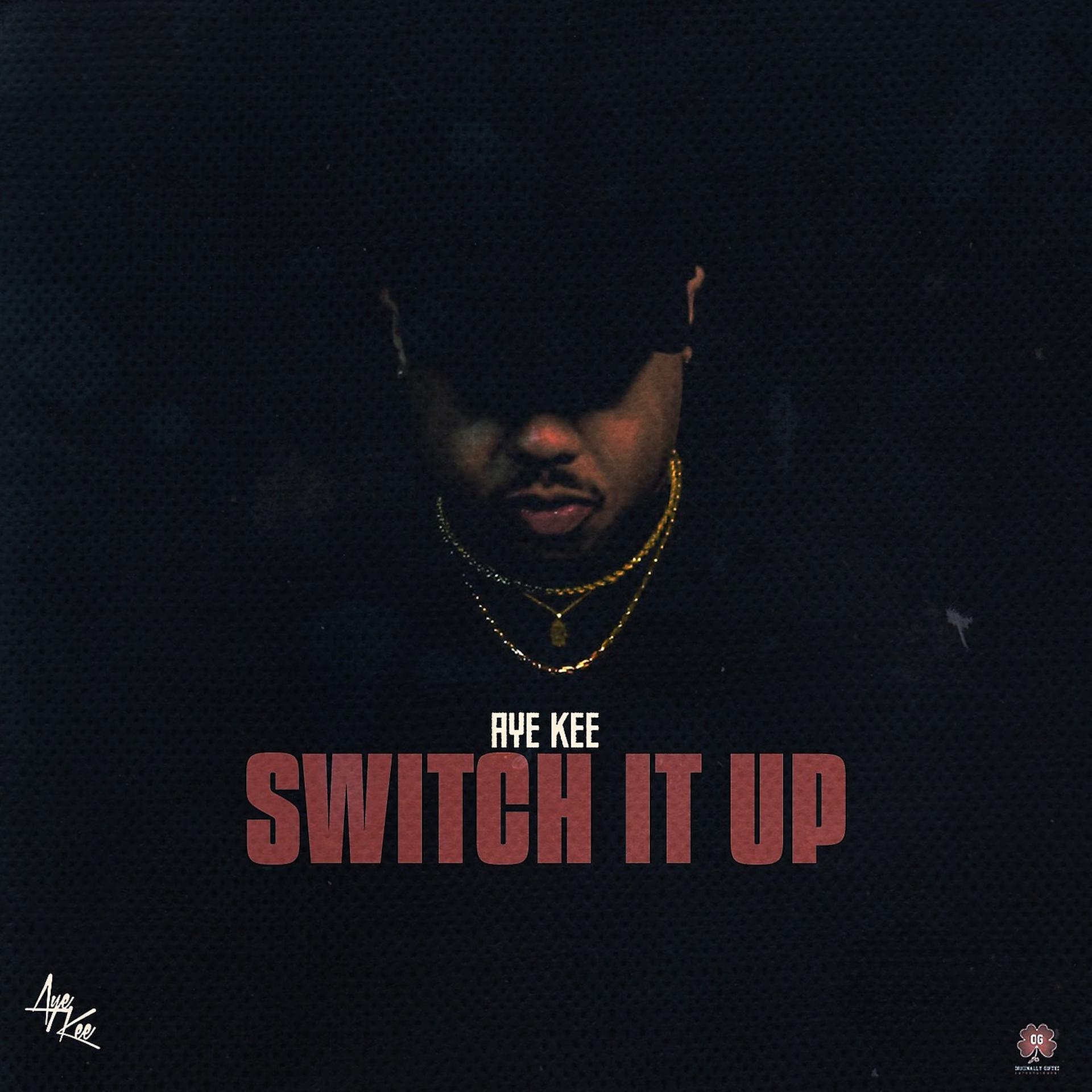 Постер альбома Switch It Up