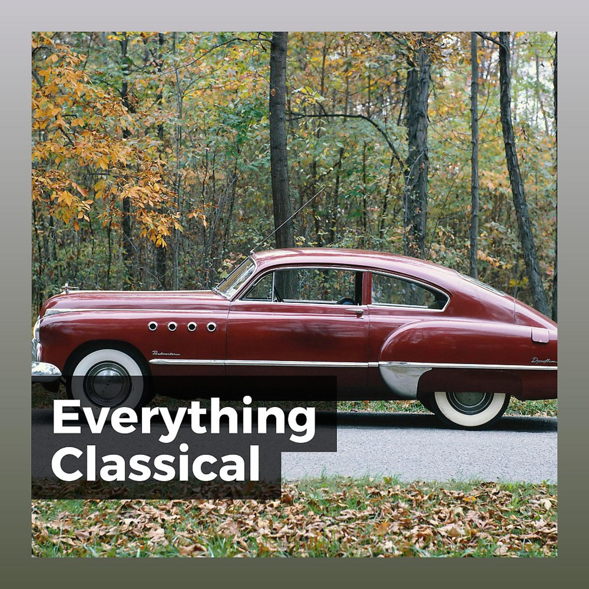 Постер альбома Everything Classical
