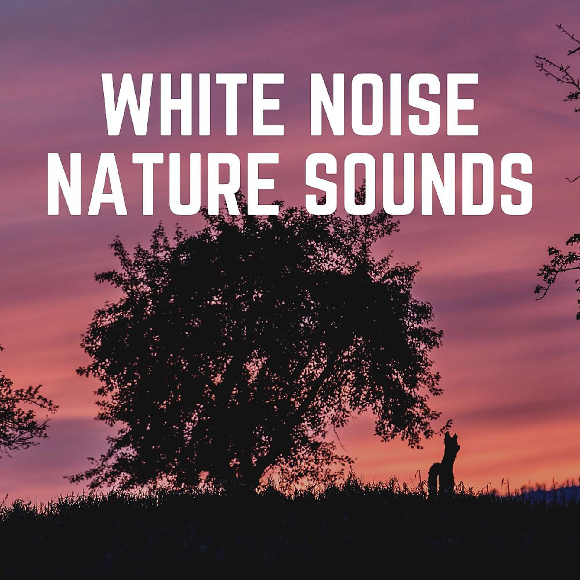 Постер альбома White Noise Nature Sounds