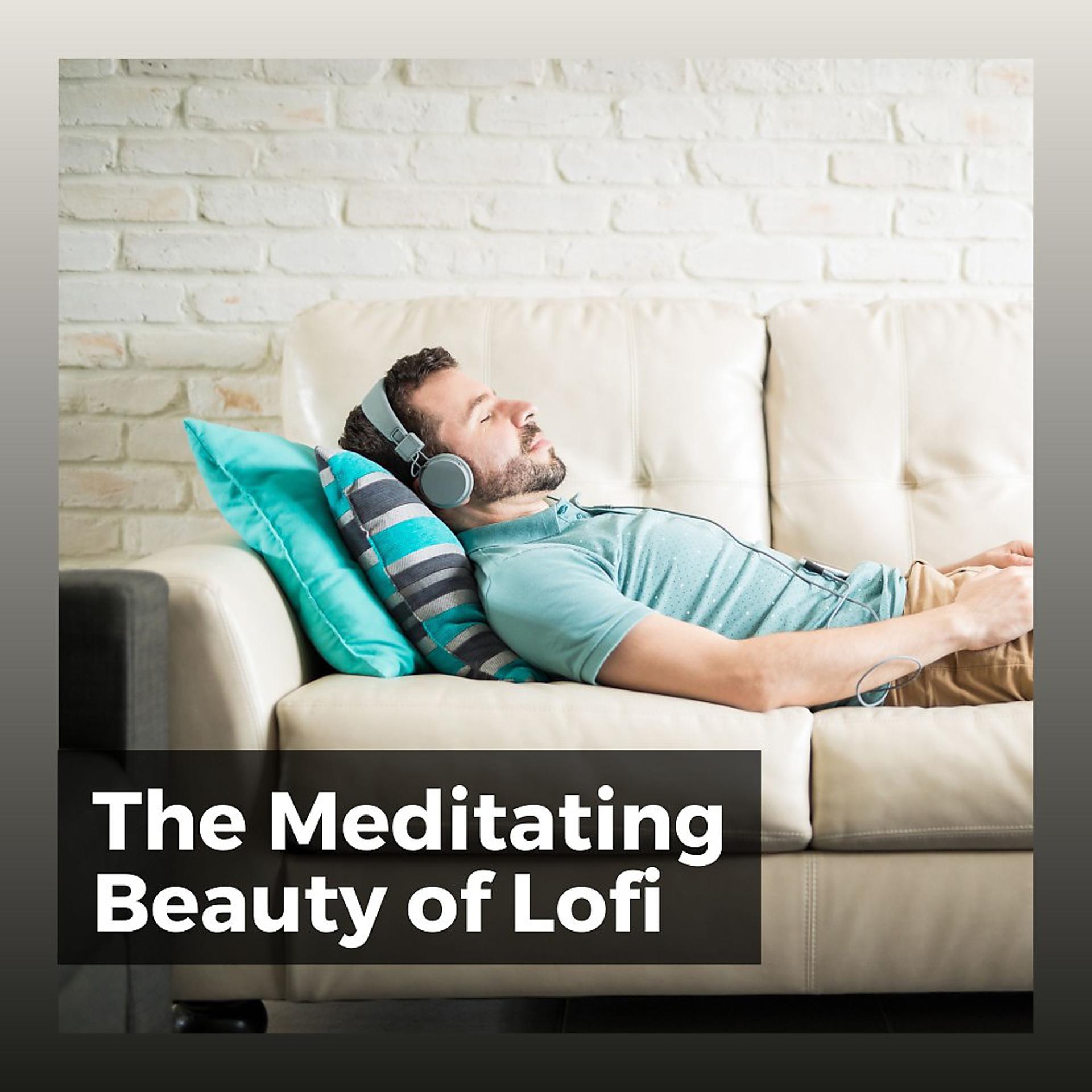 Постер альбома The Meditating Beauty of Lofi