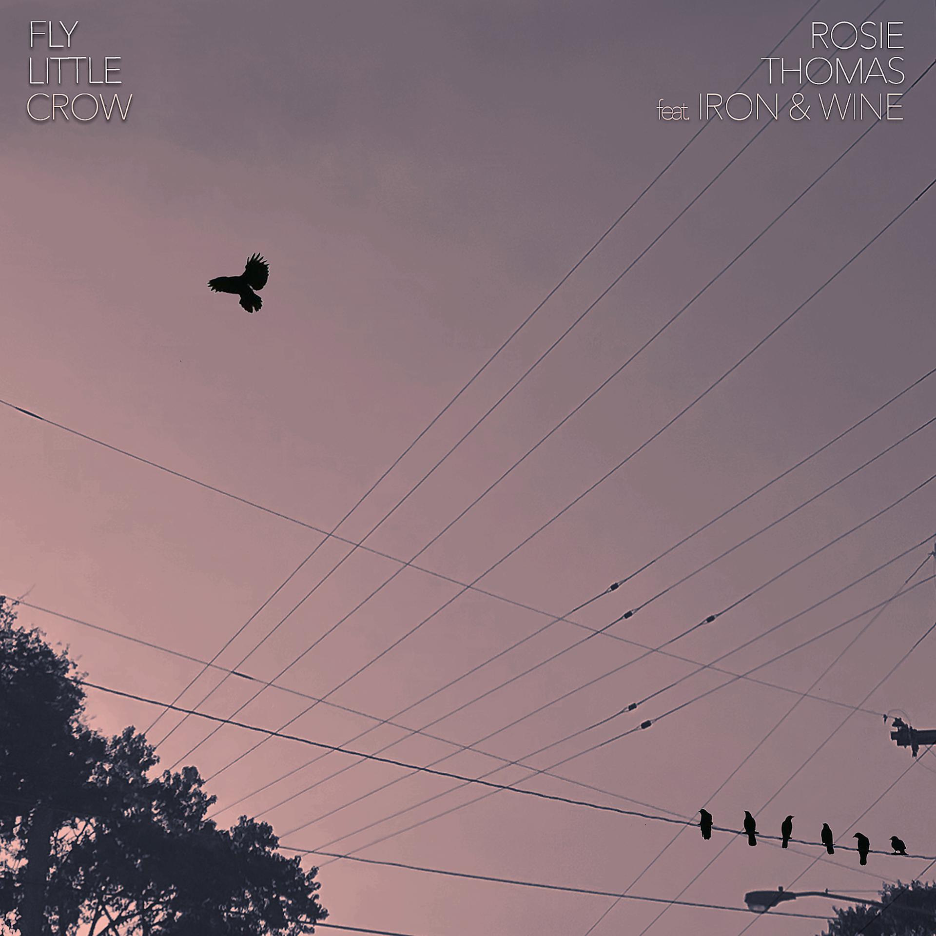 Постер альбома Fly Little Crow