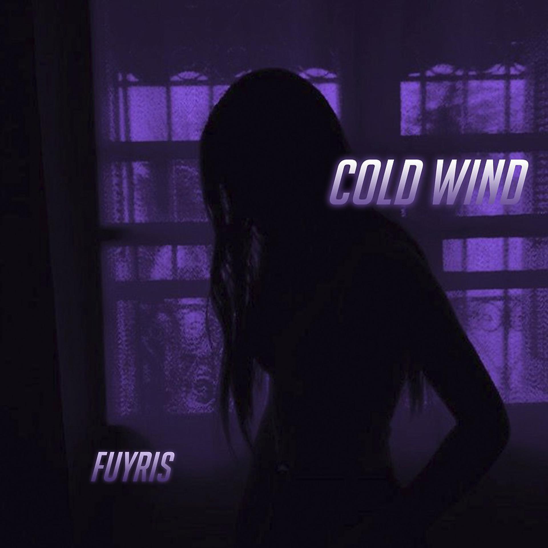 Постер альбома Cold Wind