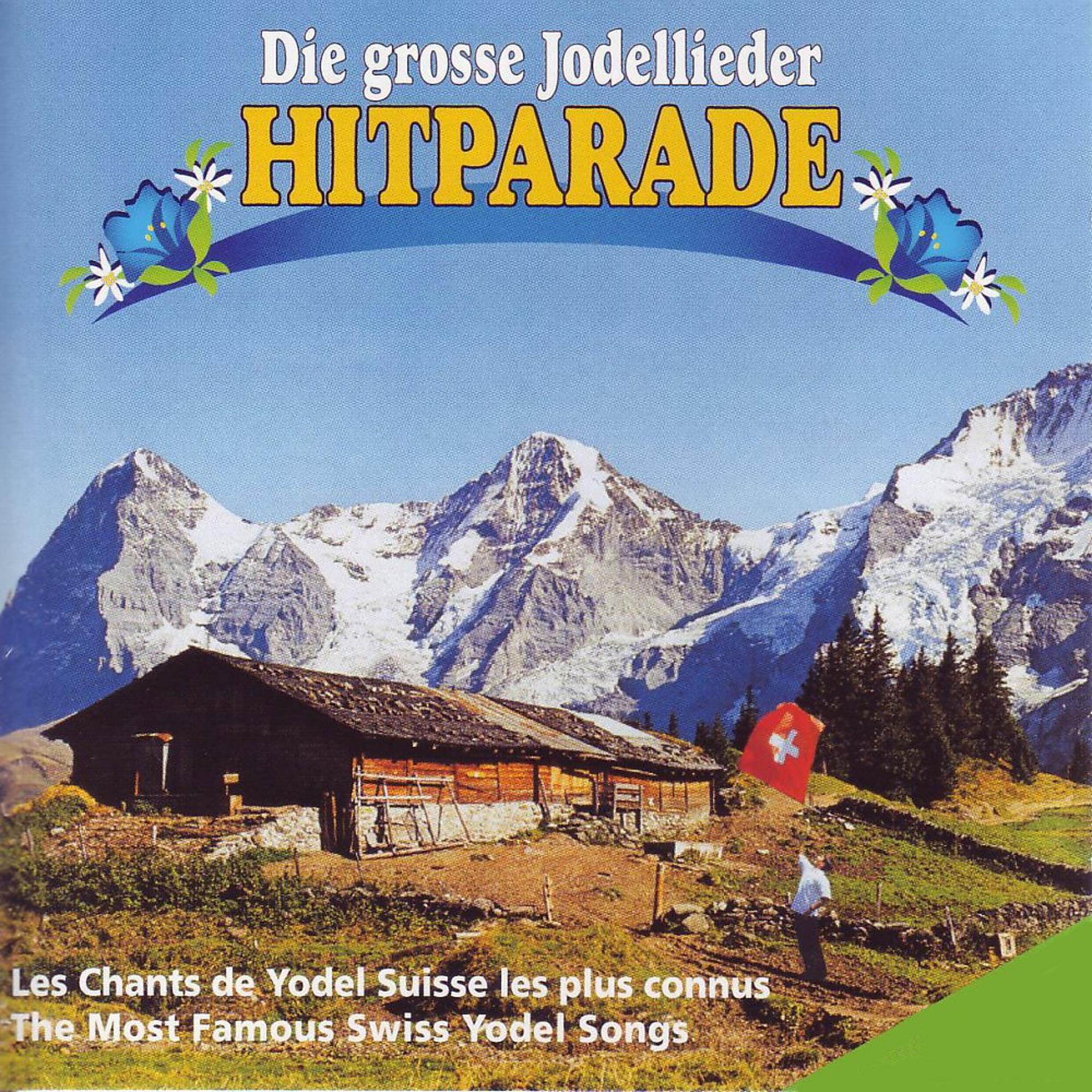 Постер альбома Die grosse Jodellieder Hitparade