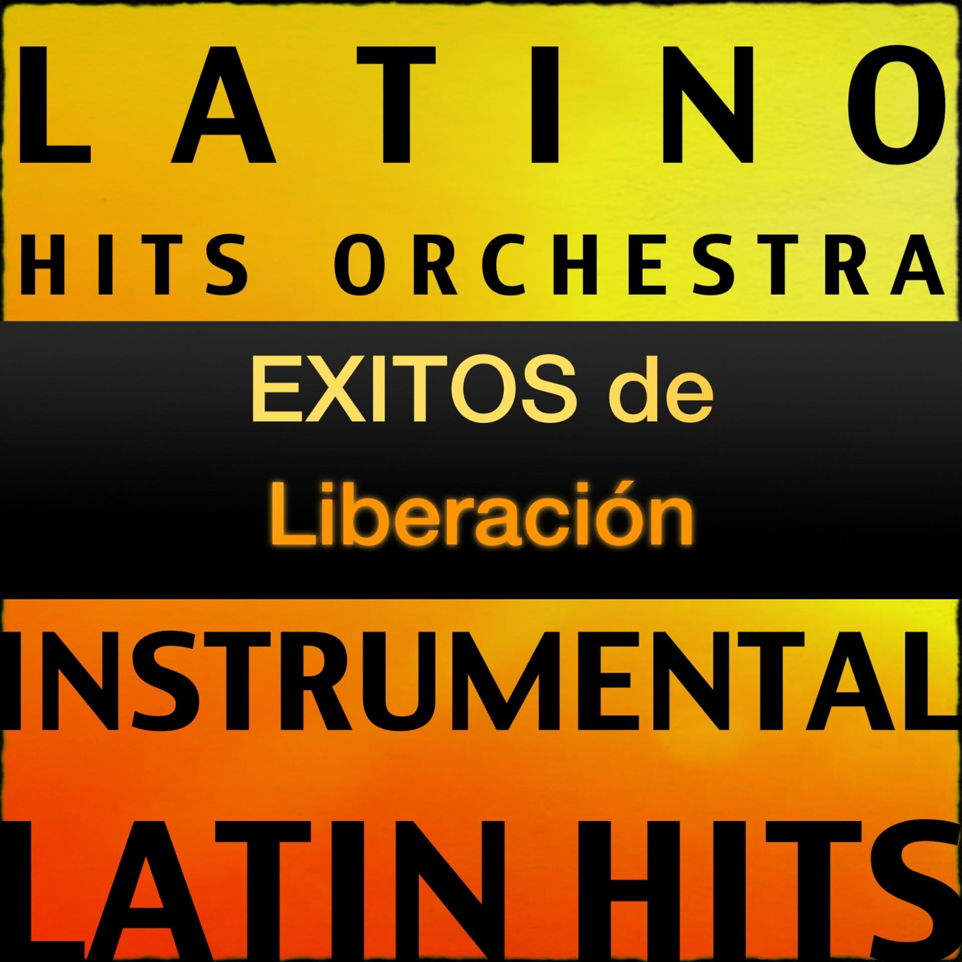 Постер альбома Pistas Musicales (Karaoke Version) [Originally Performed By Liberación]