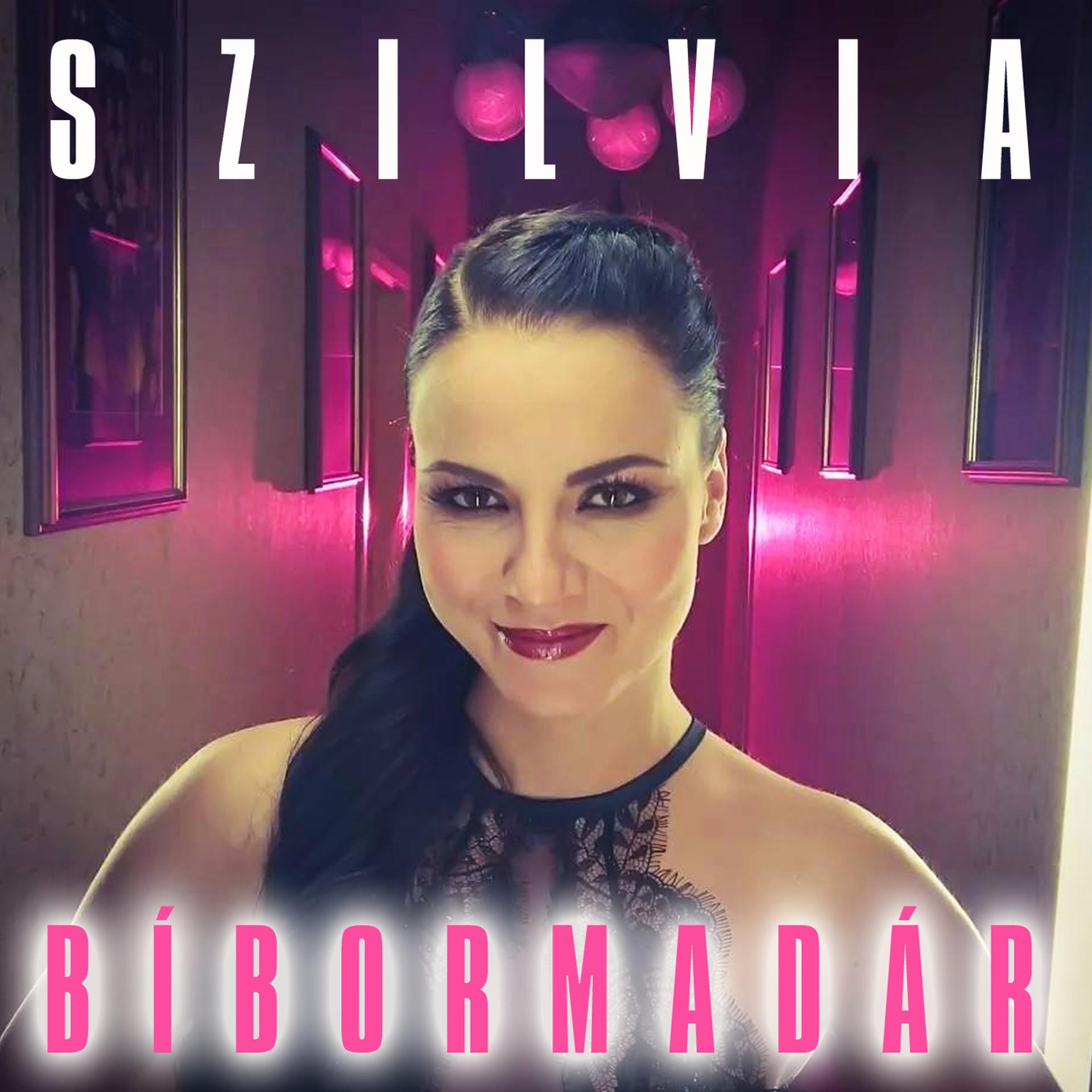 Постер альбома Bíbormadár