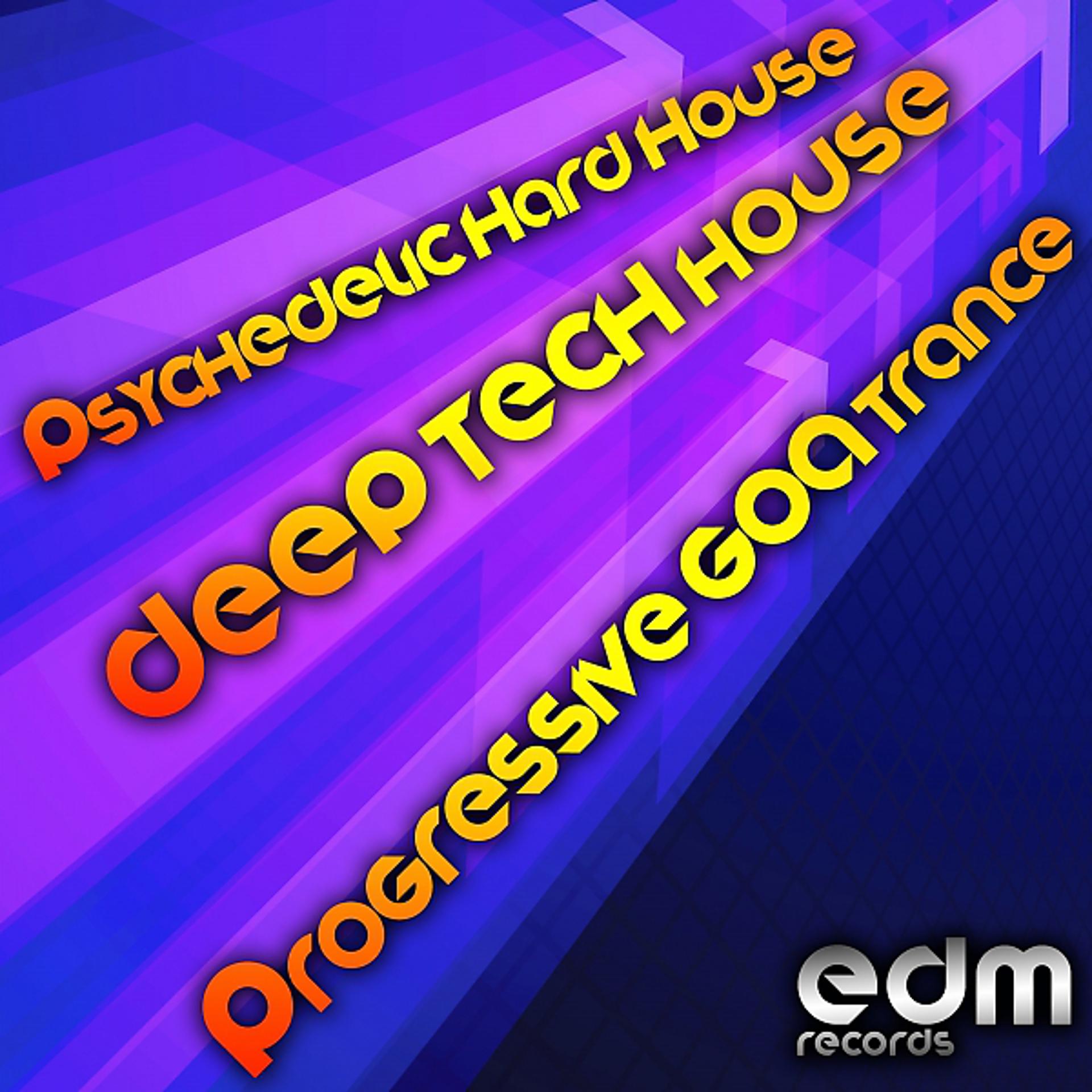 Постер альбома Psychedelic Hard House, Deep Tech House & Progressive Goa Trance