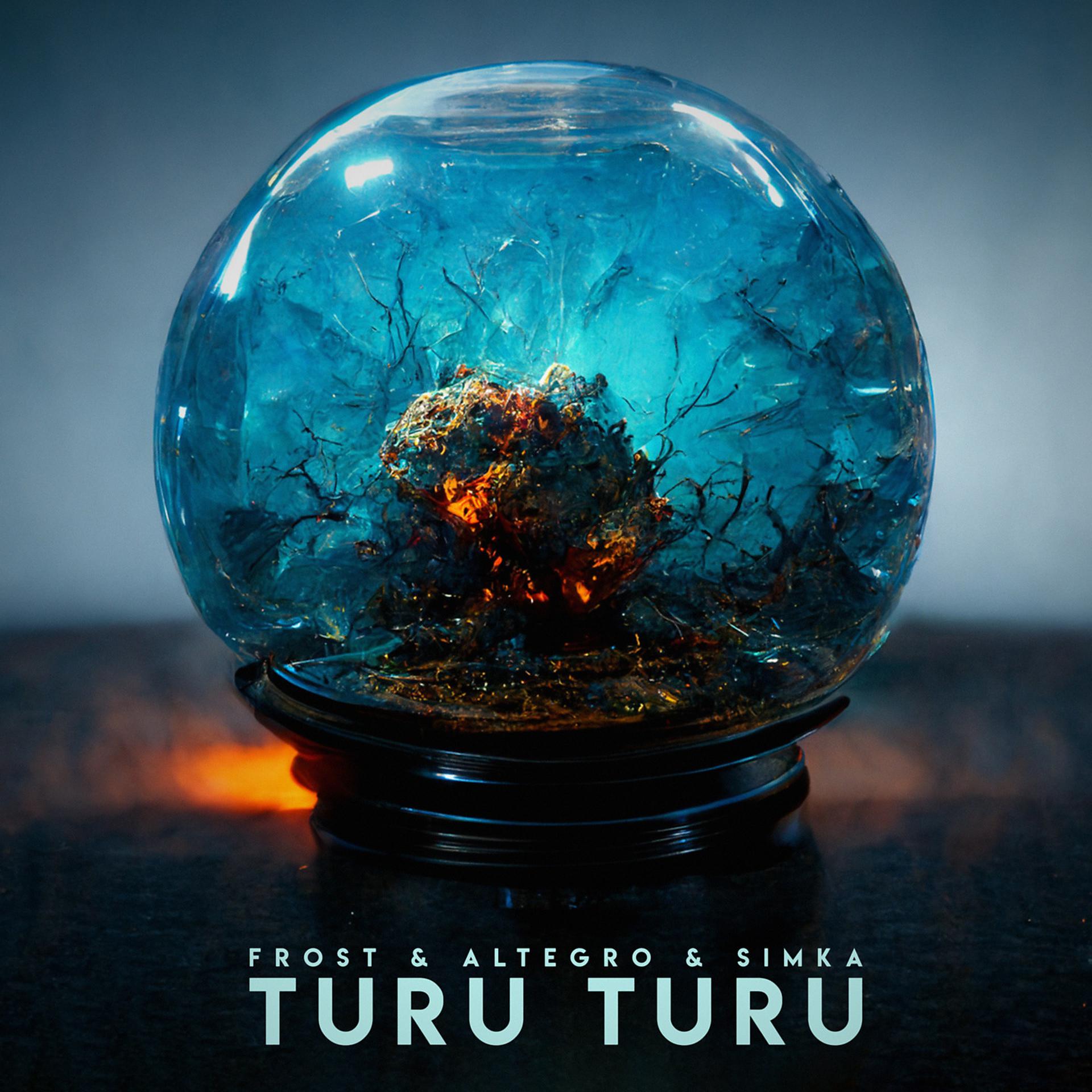 Постер альбома Turu Turu