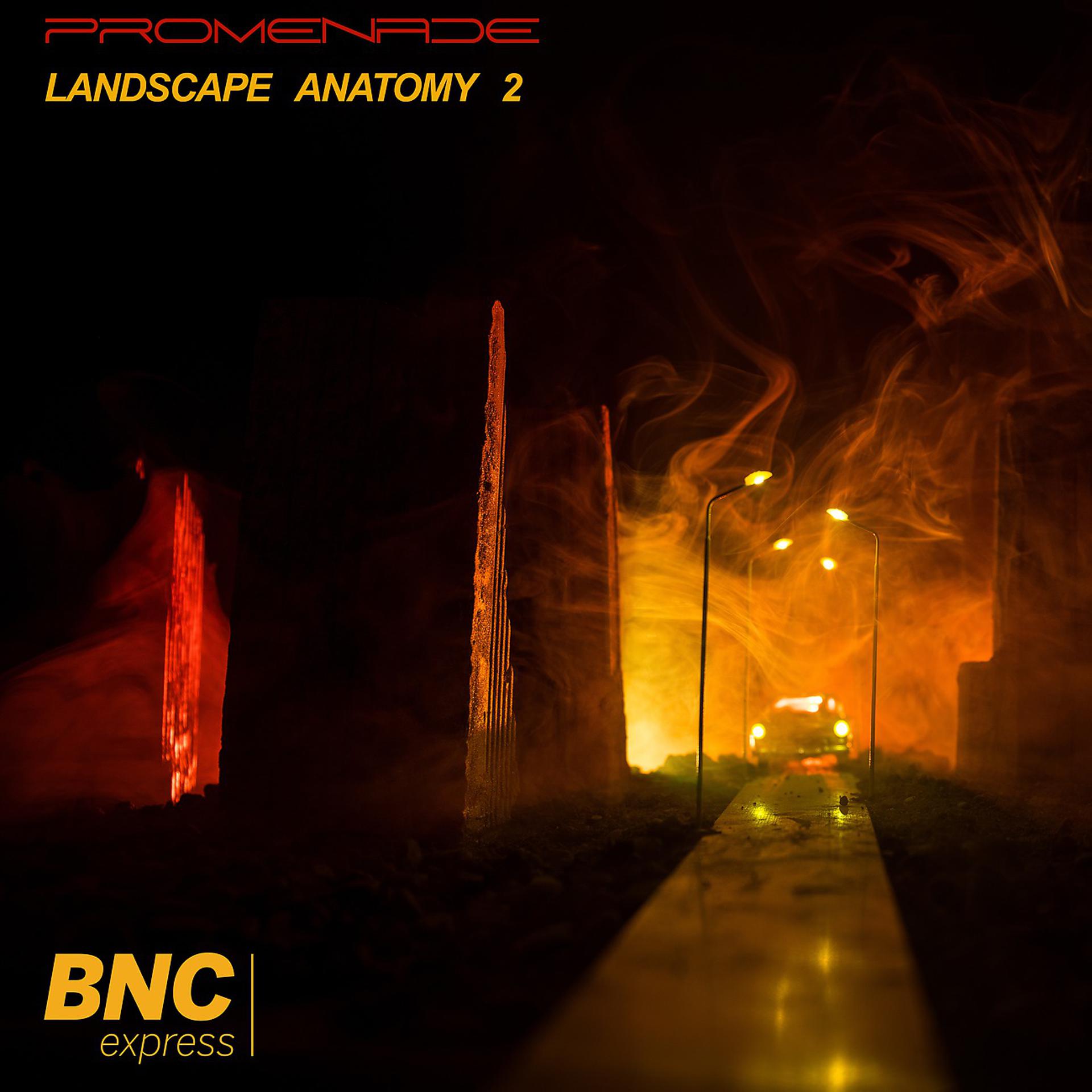 Постер альбома Landscape Anatomy #2
