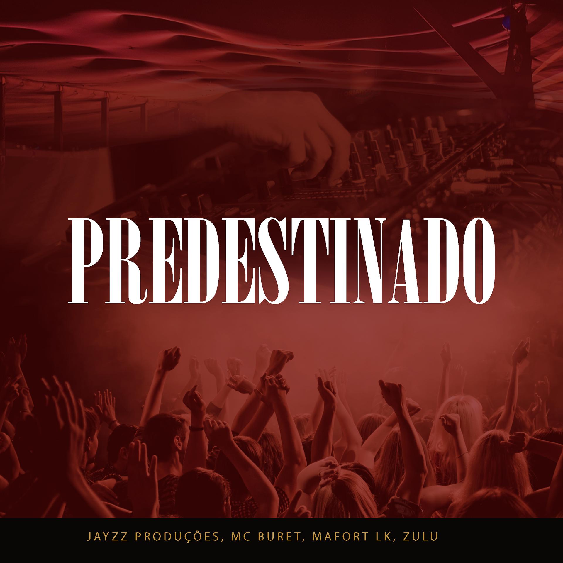 Постер альбома Predestinado