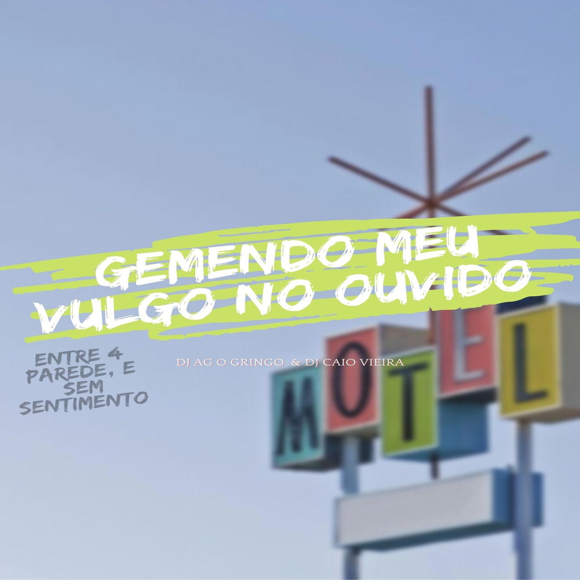 Постер альбома Gemendo Meu Vulgo no Ouvido