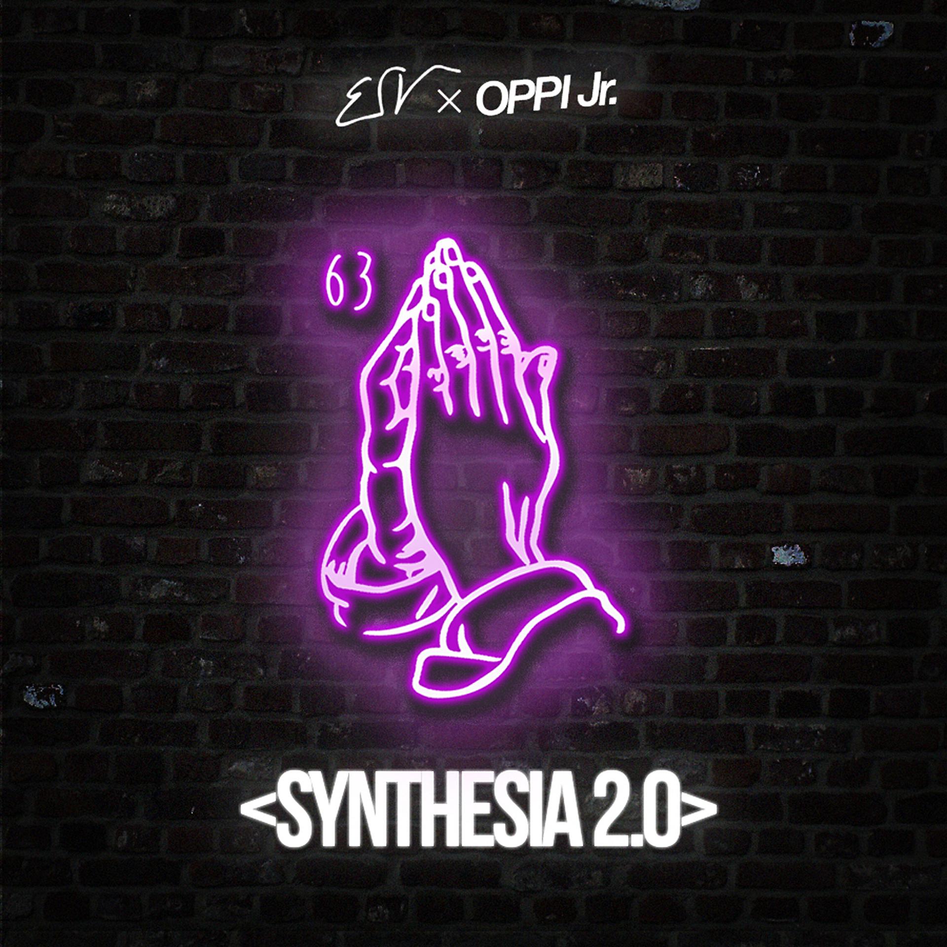 Постер альбома Synthesia 2.0