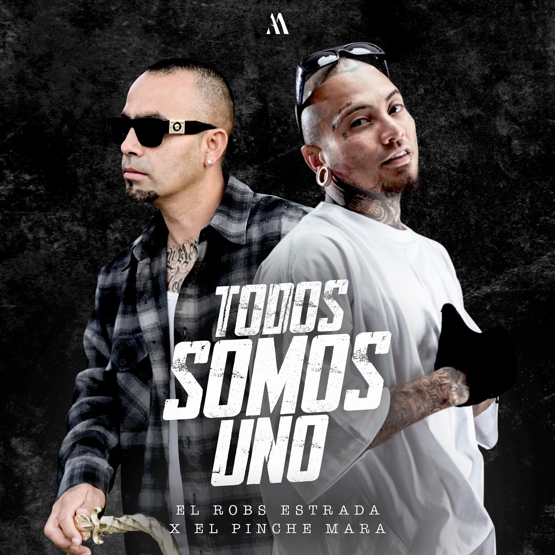 Постер альбома Todos Somos Uno