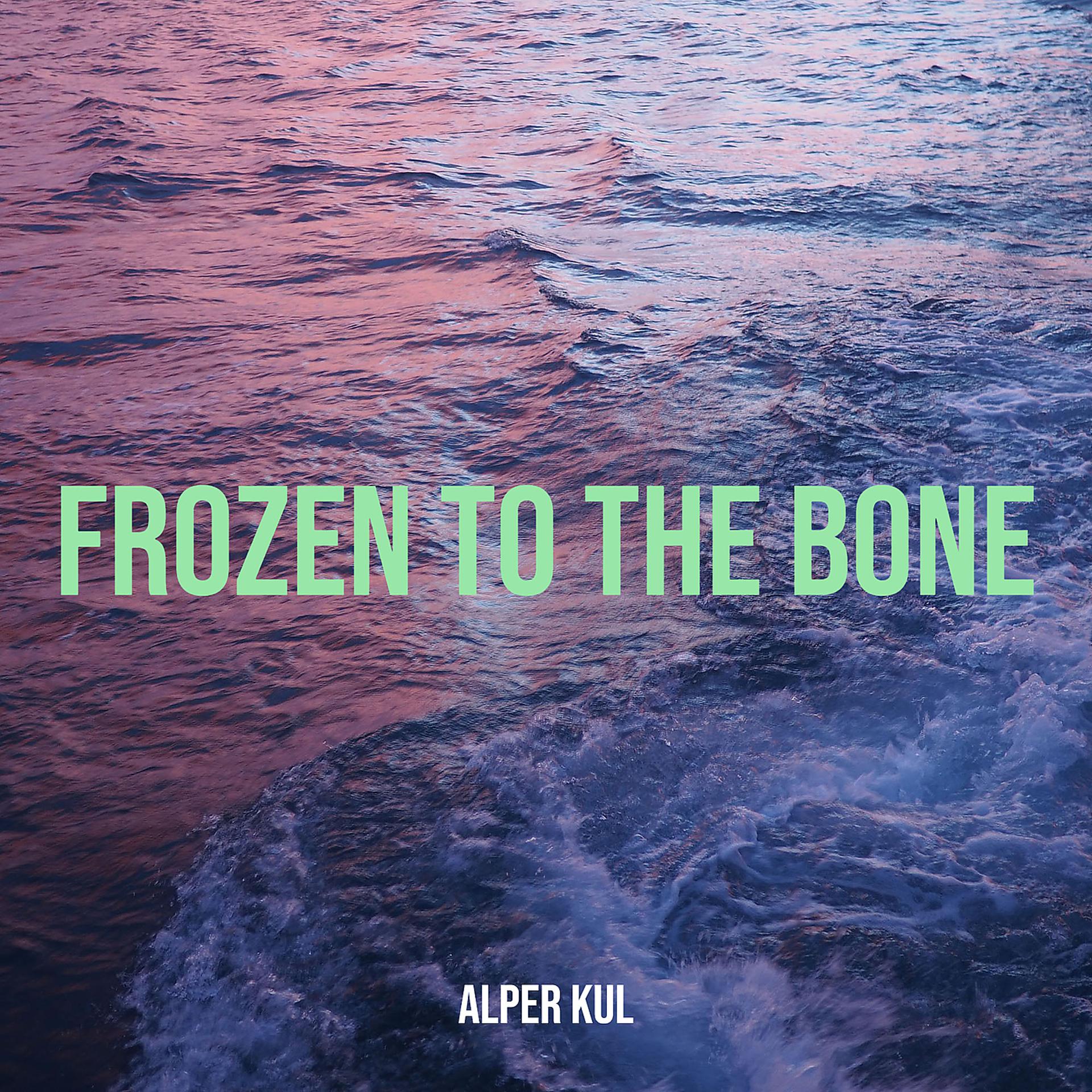 Постер альбома Frozen to the Bone