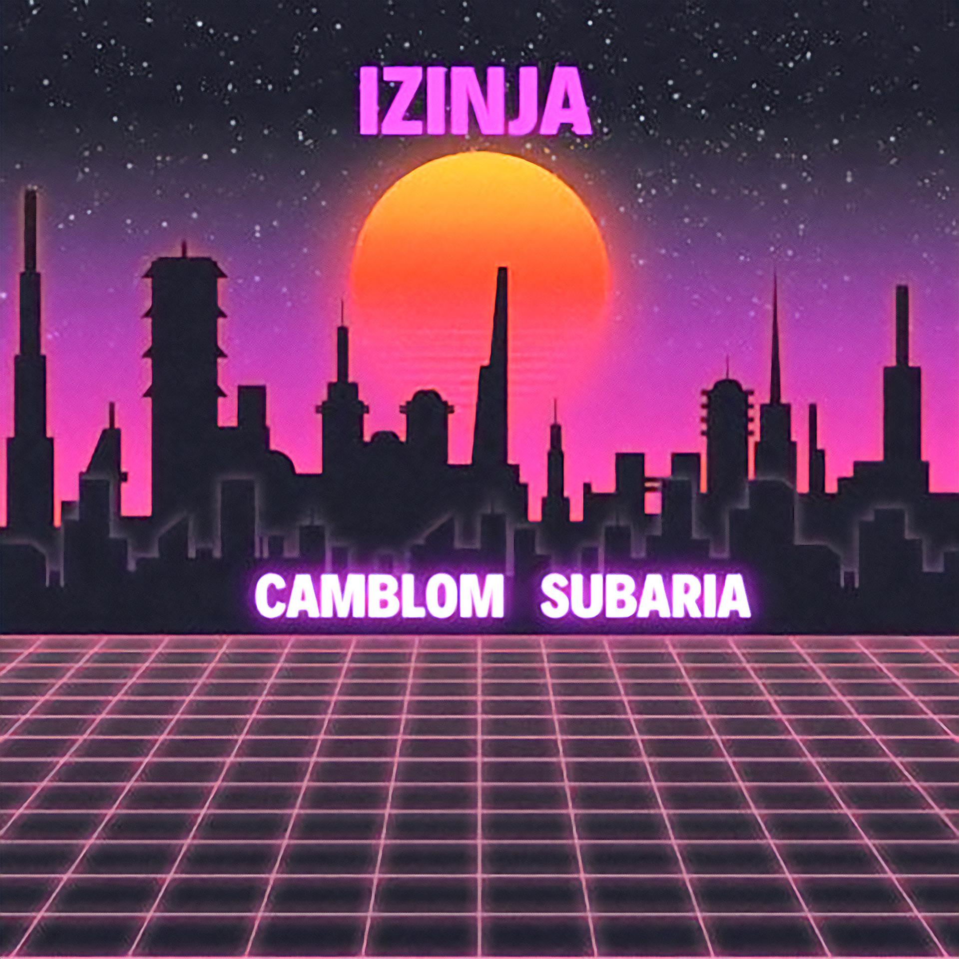 Постер альбома Izinja