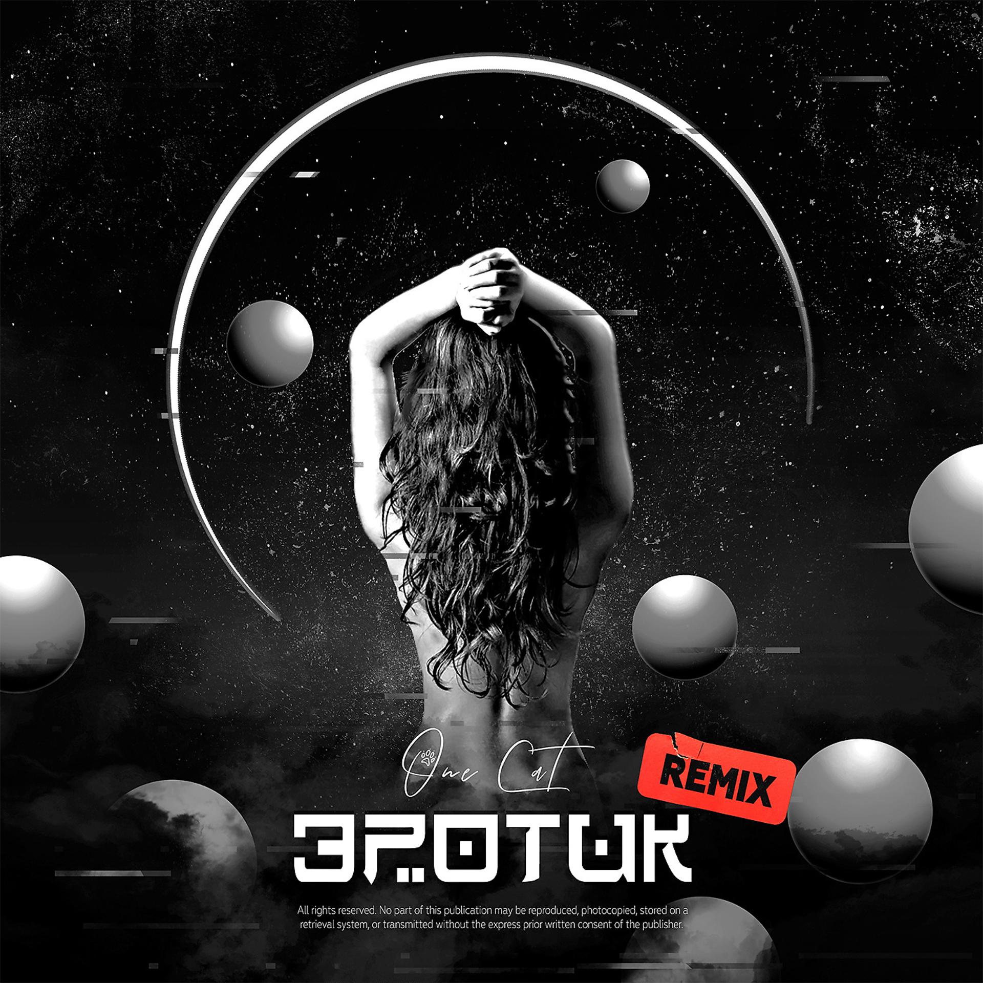 Постер альбома Эротик (Remix)