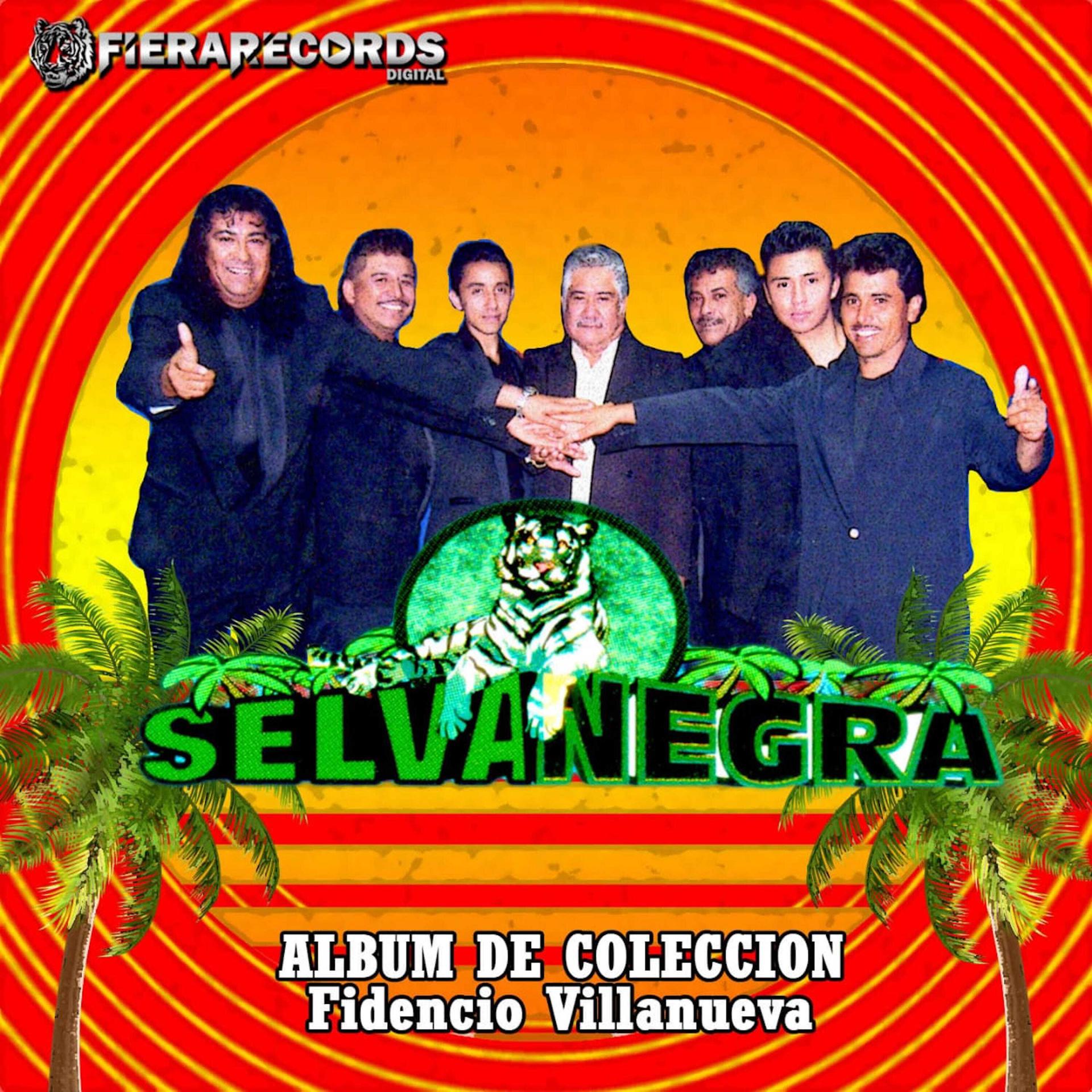 Постер альбома Album de Coleccion, Fidencio Villanueva