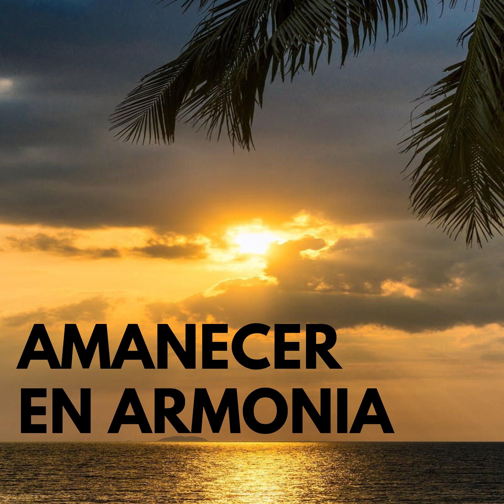 Постер альбома Amanecer en armonia