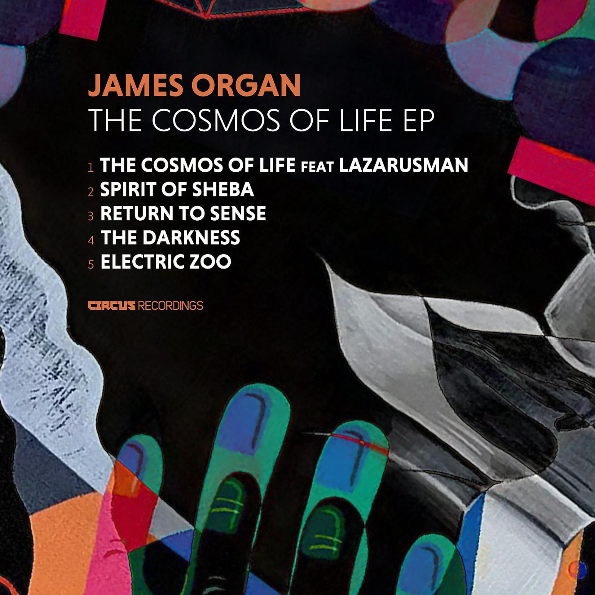 Постер альбома The Cosmos Of Life EP