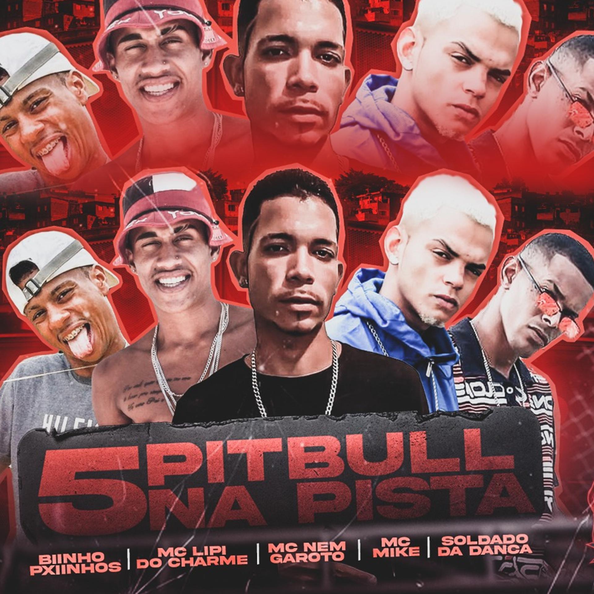 Постер альбома 5 Pitbull na Pista