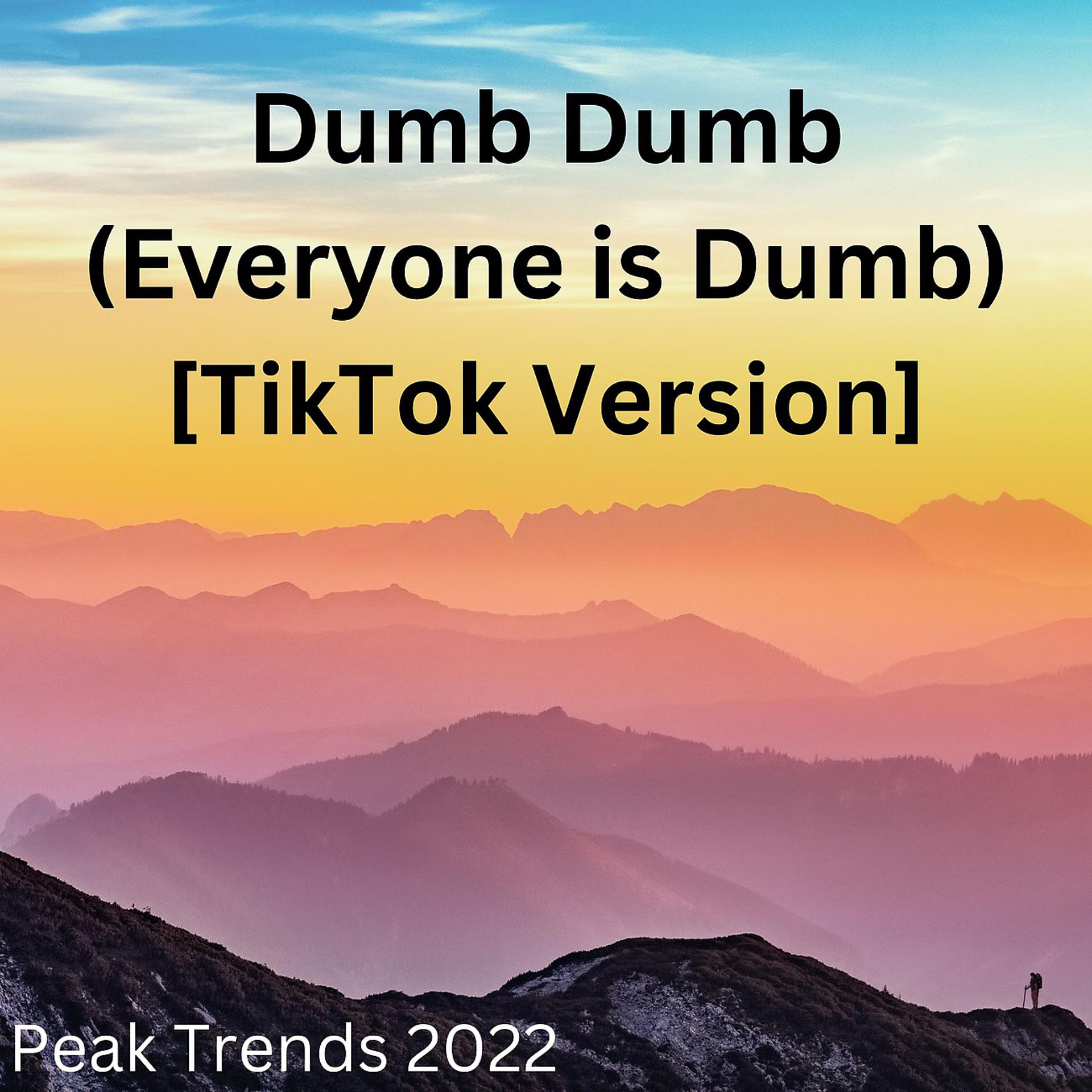 Постер альбома Dumb Dumb (Everyone is Dumb) [TikTok Version]