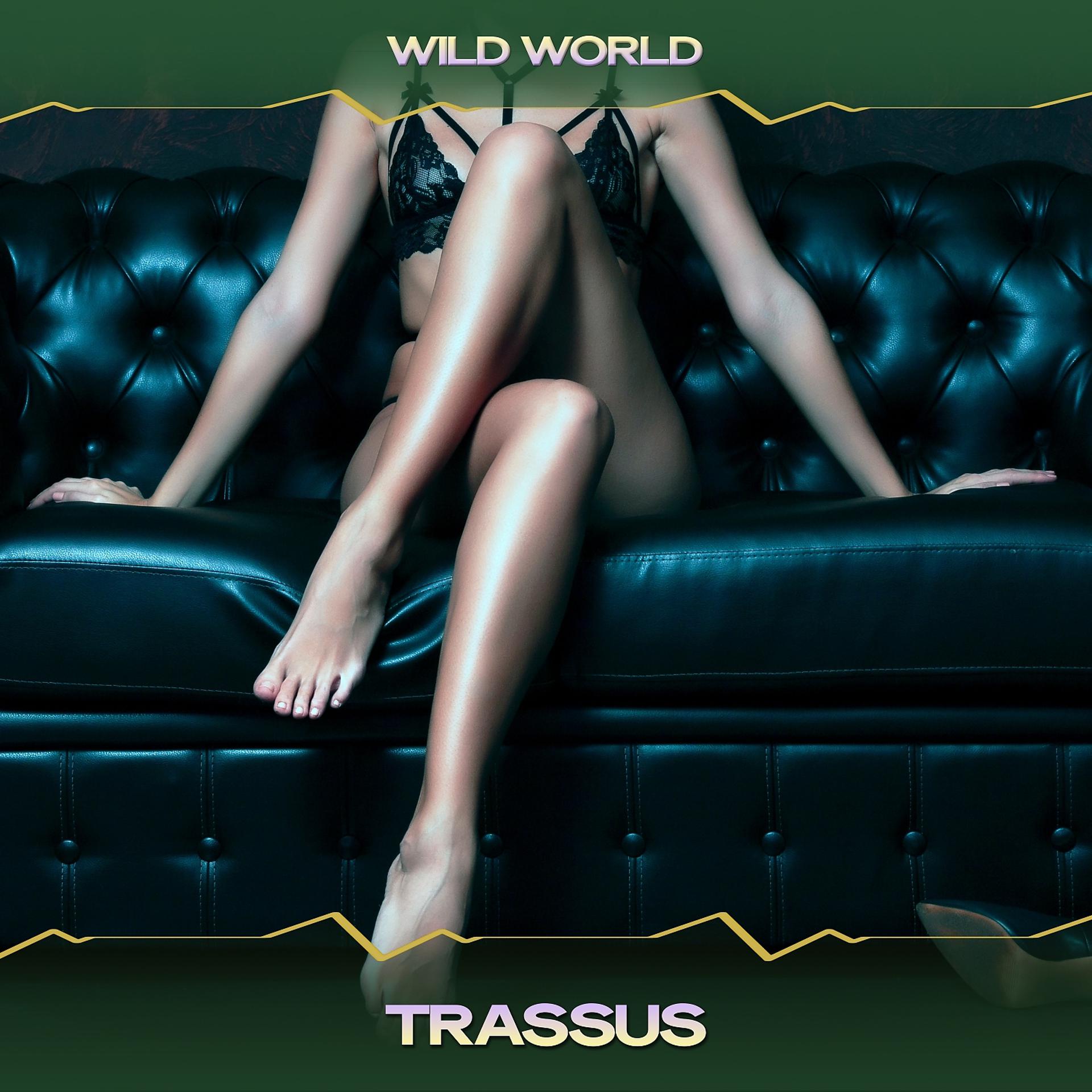 Постер альбома Trassus