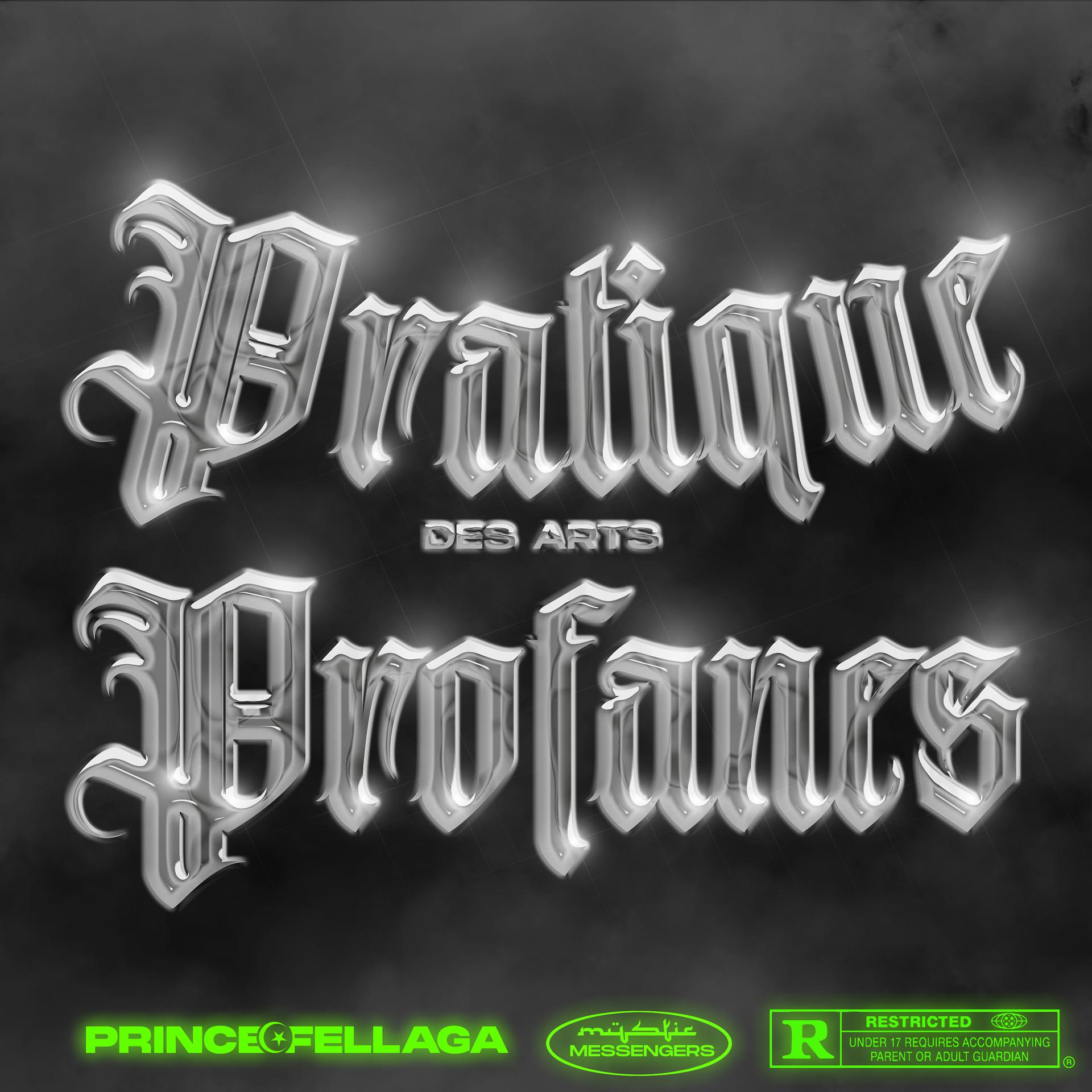 Постер альбома Pratique des Arts Profanes
