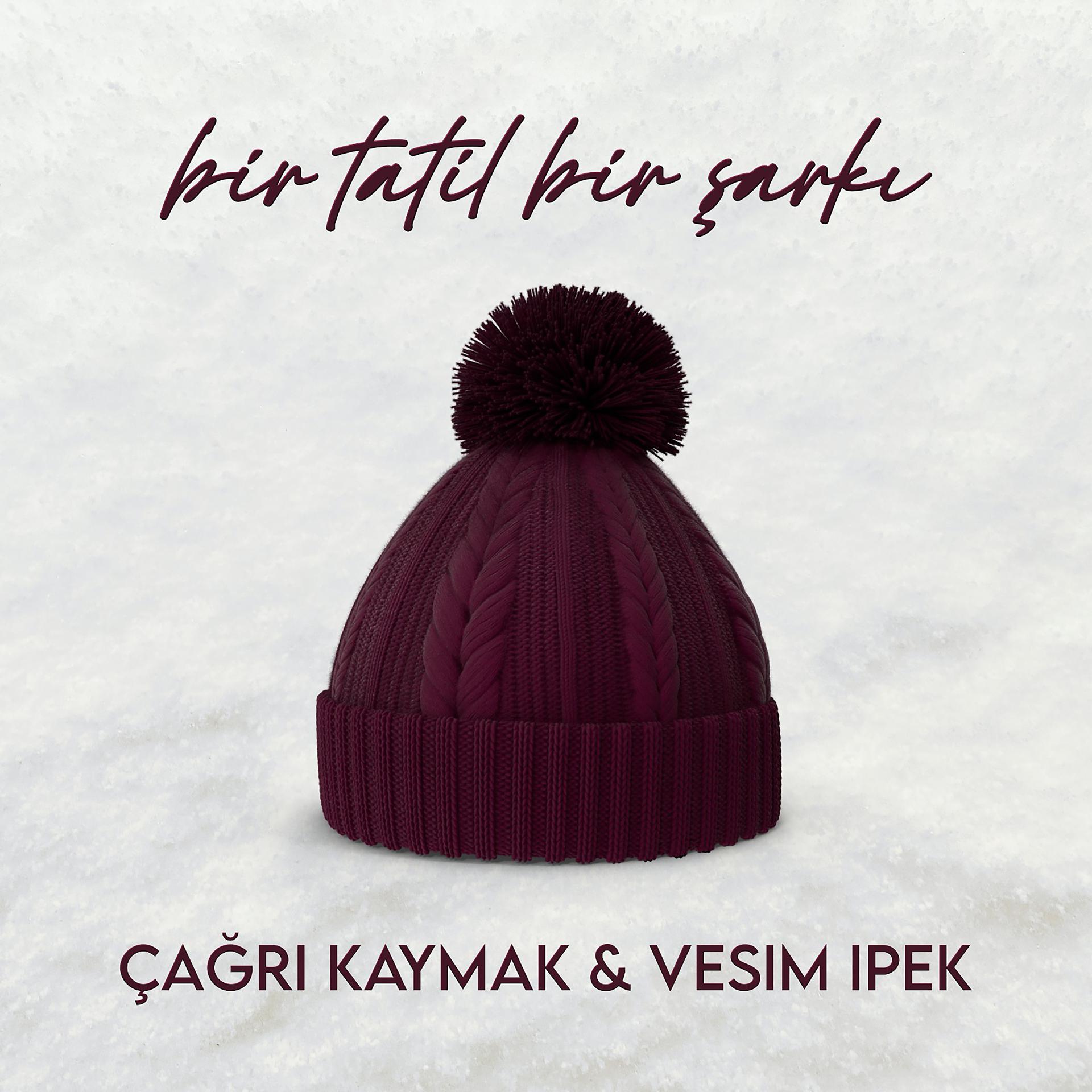 Постер альбома Bir Tatil Bir Şarkı
