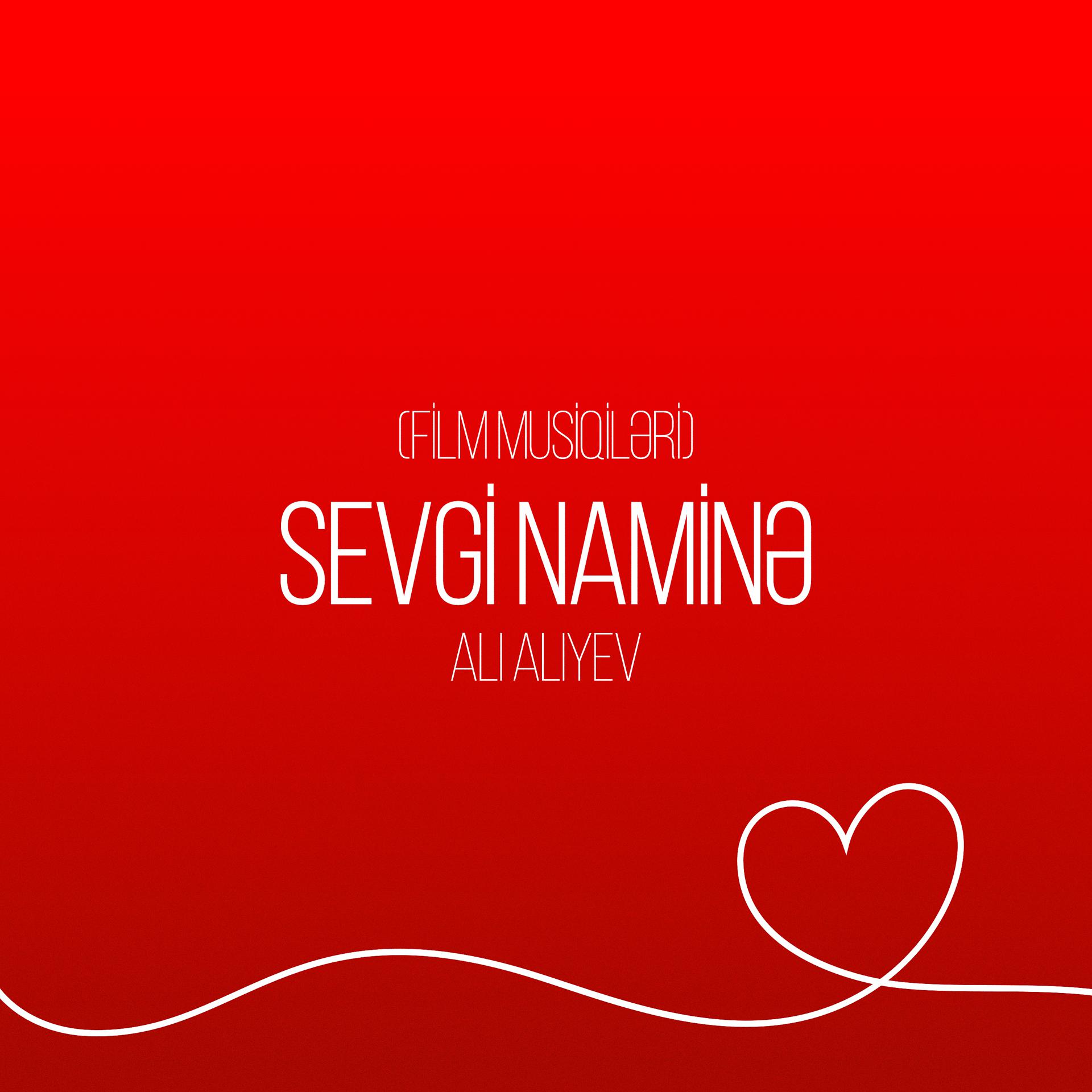 Постер альбома Sevgi Naminə