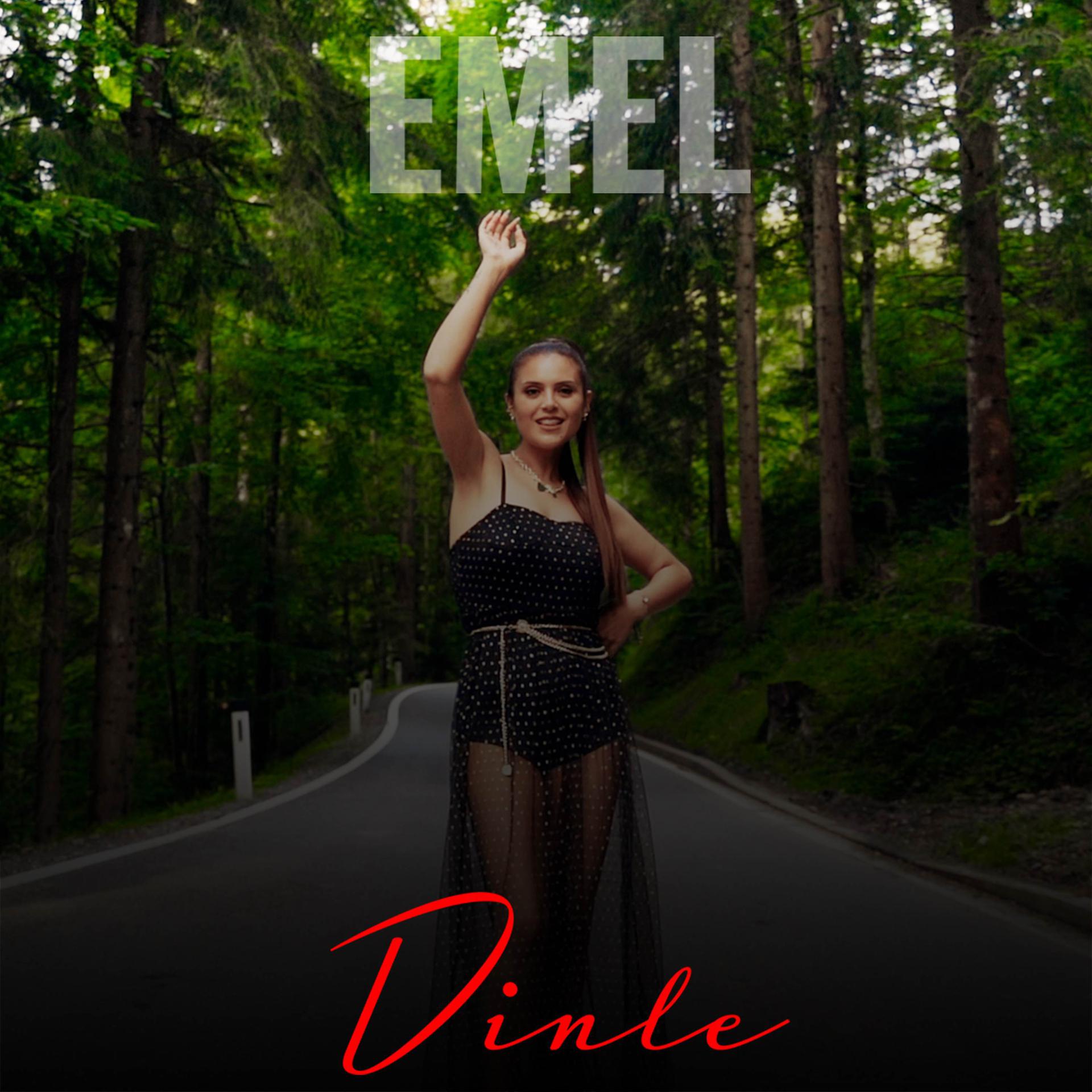 Постер альбома Dinle