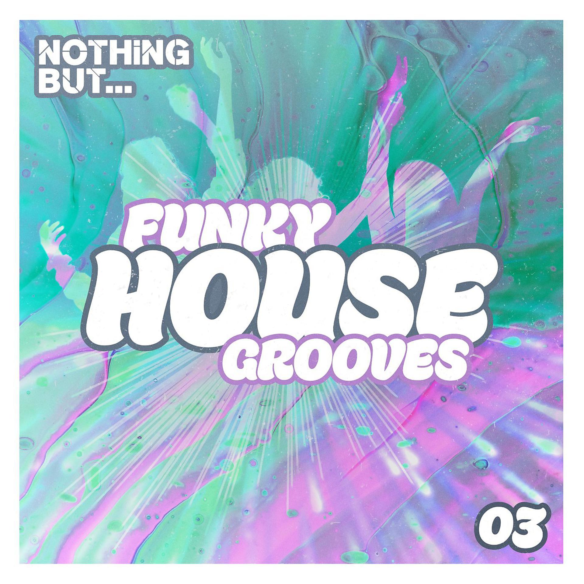 Постер альбома Nothing But... Funky House Grooves, Vol. 03