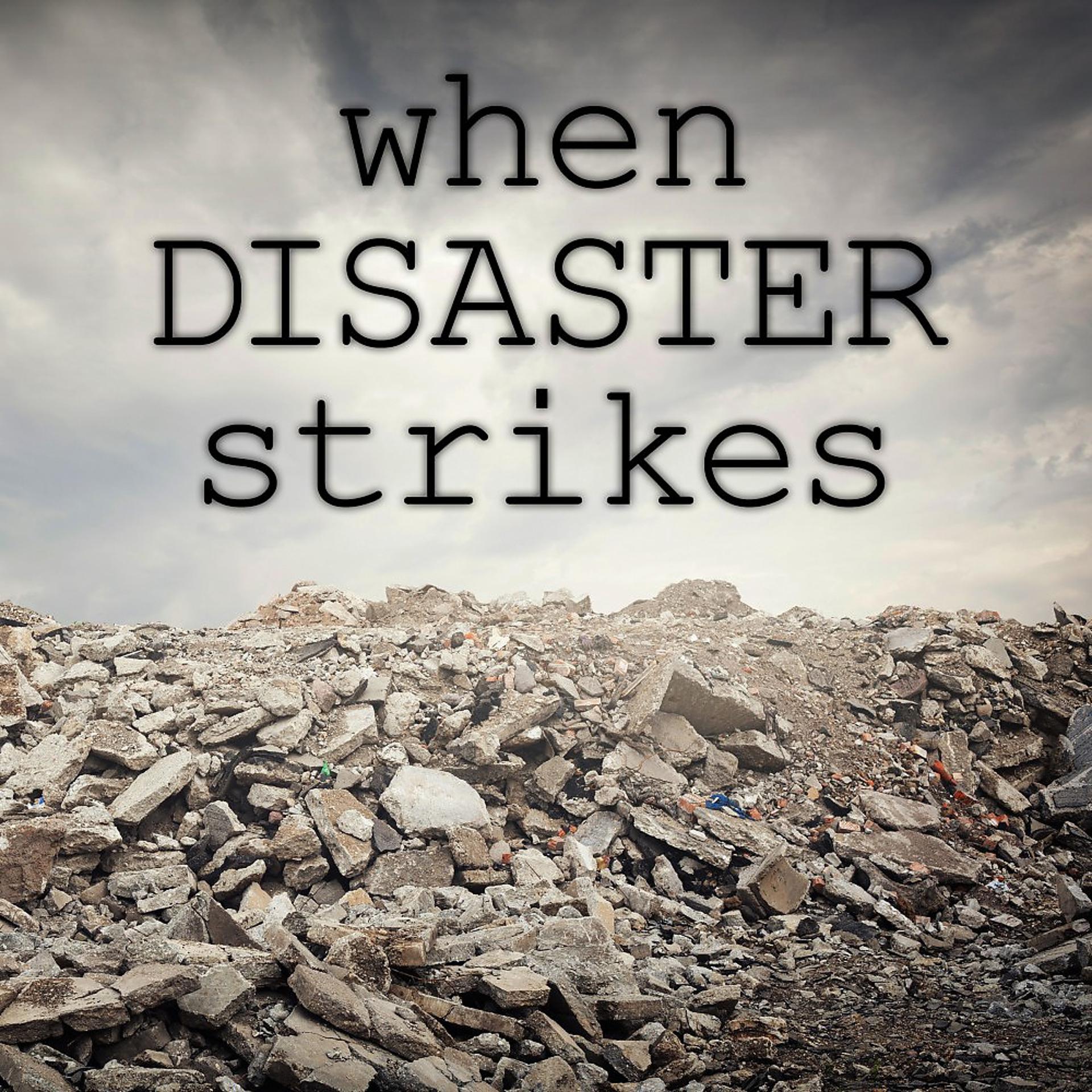 Постер альбома When Disaster Strikes