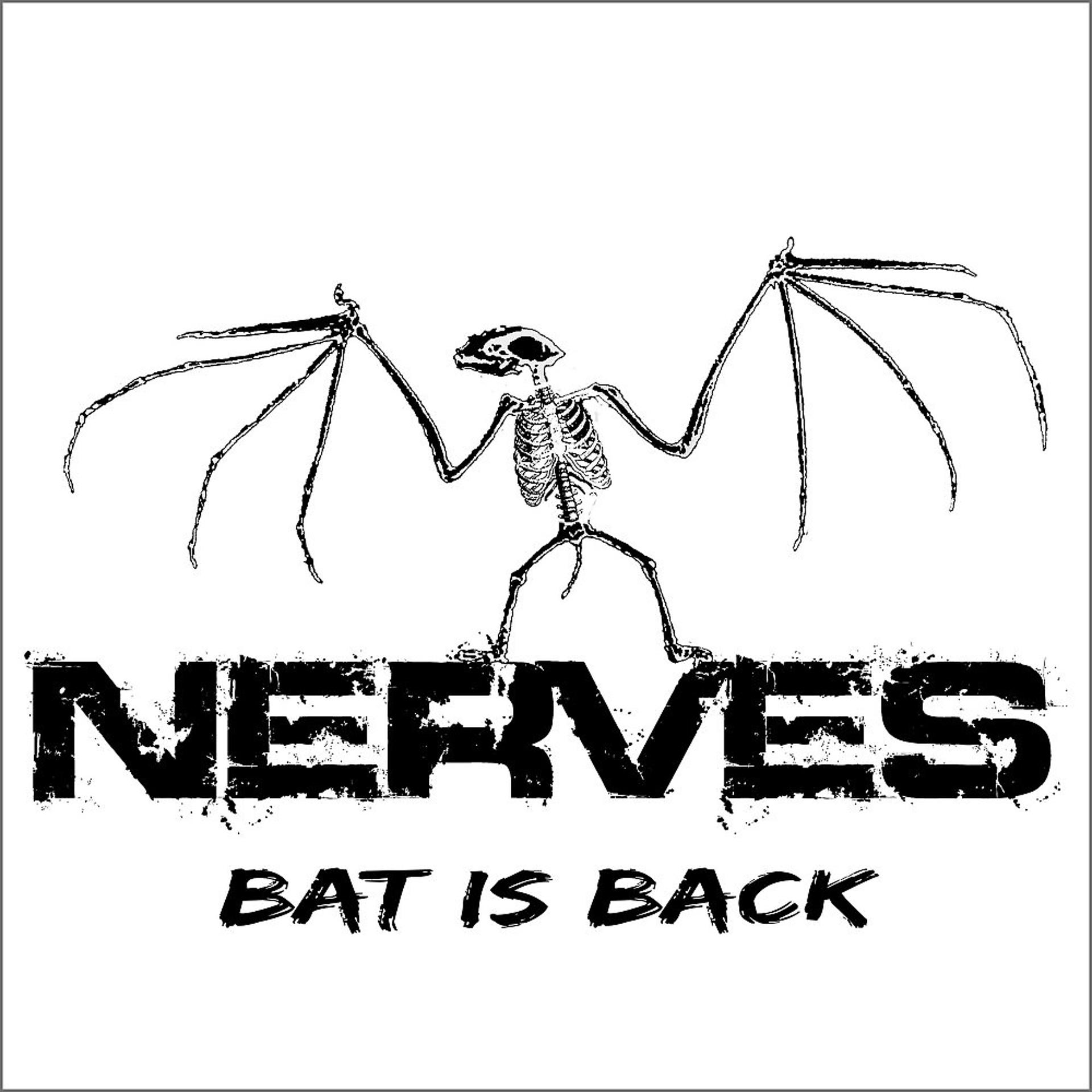 Постер альбома Bat Is Back (Radio Version)