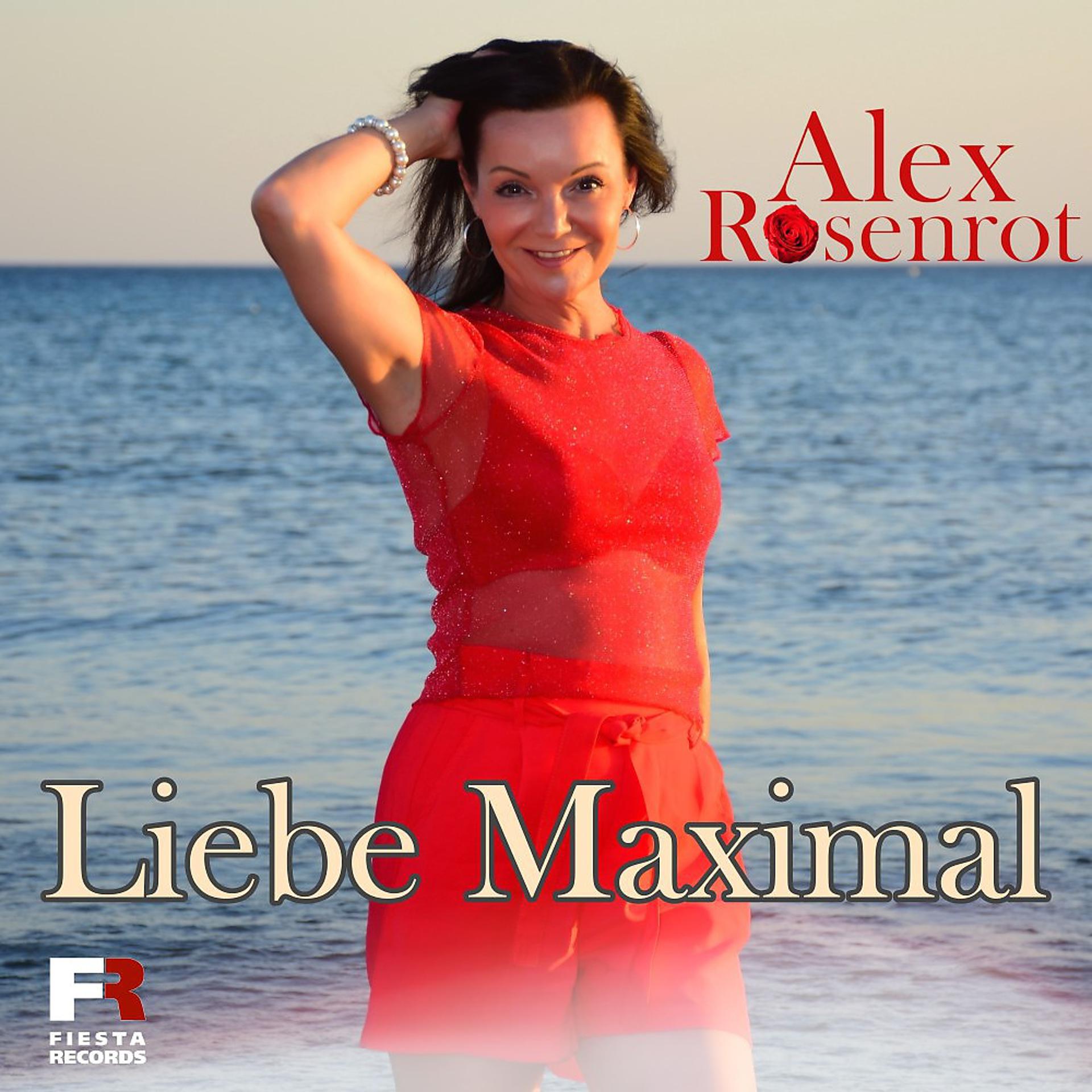 Постер альбома Liebe Maximal